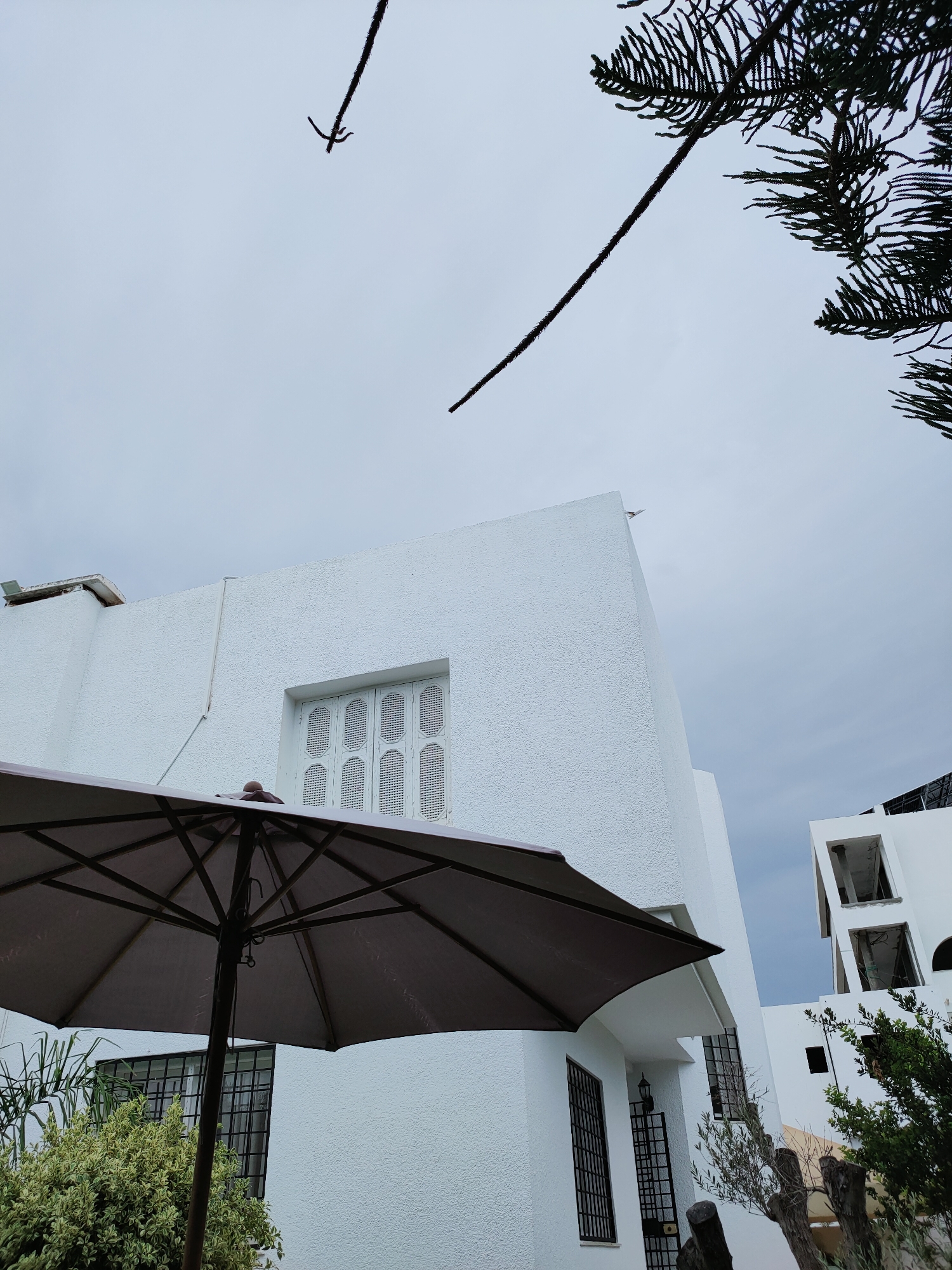 The image depicts a view of a white building with a textured facade, situated outdoors. A dark umbrella is prominently positioned in the foreground, partially obscuring the lower portion of the building. The building features several windows, one of which has a distinctive decorative lattice pattern. A second, taller white building with open structural elements is visible in the background, suggesting ongoing construction or renovation. Green foliage and trees are present around the base of the buildings. The sky is overcast, indicating a cloudy day. The scene is likely located in Mrezga, Tunisia, given the architectural style and vegetation. There are no people visible in the image.