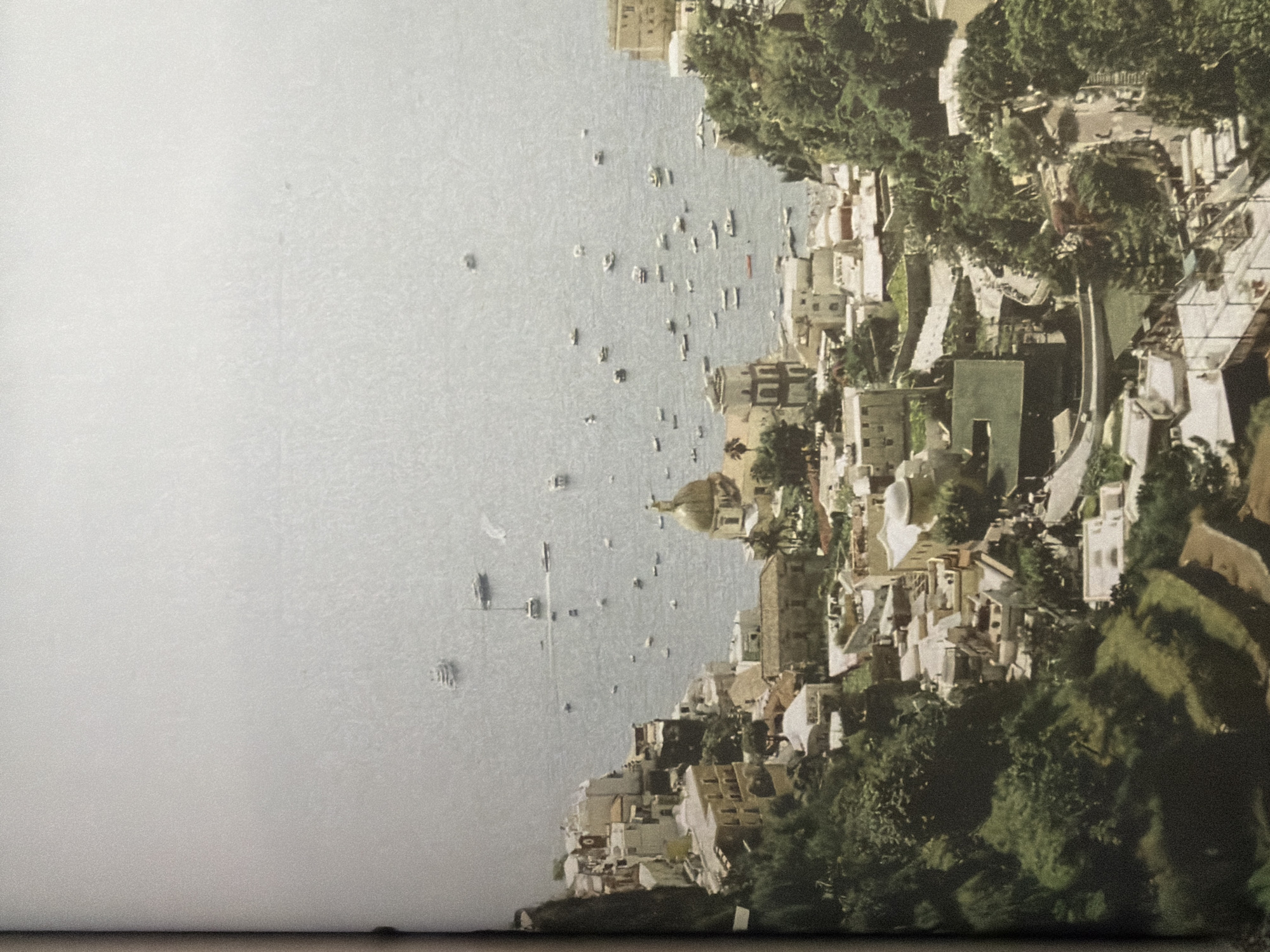 The image depicts a high-angle view of a coastal town nestled on a steep hillside overlooking a body of water dotted with numerous boats. The architecture is dense and appears to be of European style, with buildings of varying heights and colors, many featuring white or light-colored facades and red-tiled roofs. Prominent structures include a building with a distinctive green dome, possibly a church, and several multi-story residences and businesses. Lush green vegetation, including trees and shrubs, covers the slopes between the buildings and adds to the scenic beauty of the location. The water is a light blue-gray, and the sky is overcast, creating a soft, diffused light. The image does not depict the city of Kyiv, Ukraine, but rather a coastal European town, likely situated in a Mediterranean region.