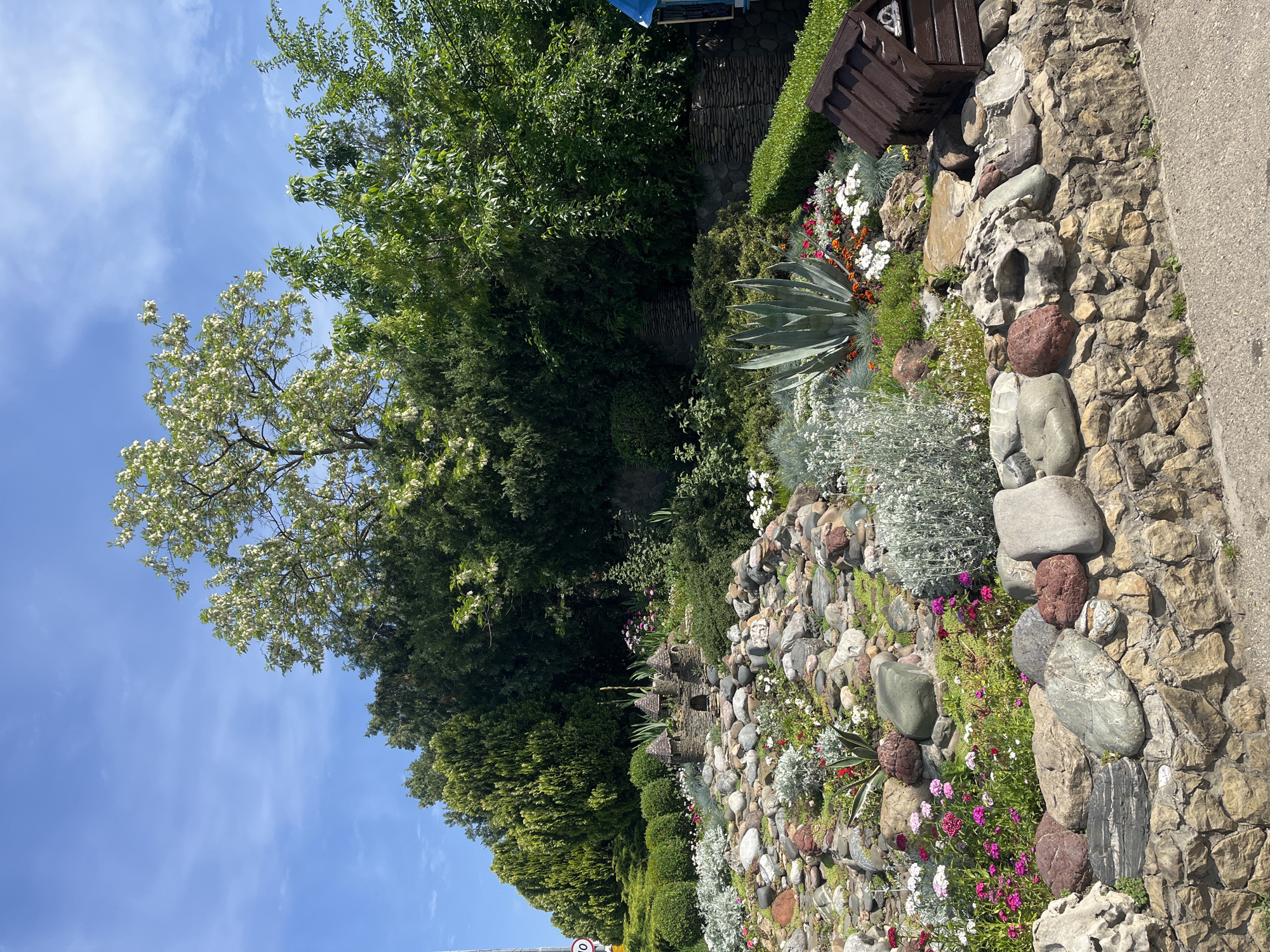 A vertical view of a stone wall and landscaped garden under a partly cloudy sky. The wall is composed of irregularly shaped rocks and smaller stones. Various plants, including succulents, flowers, and shrubbery, grow along the top and sides of the wall. A tree with white blossoms is visible in the background along with other dense green trees. A section of a road and a speed limit sign are visible in the lower left corner. The location is likely Krasnodar, Russia.