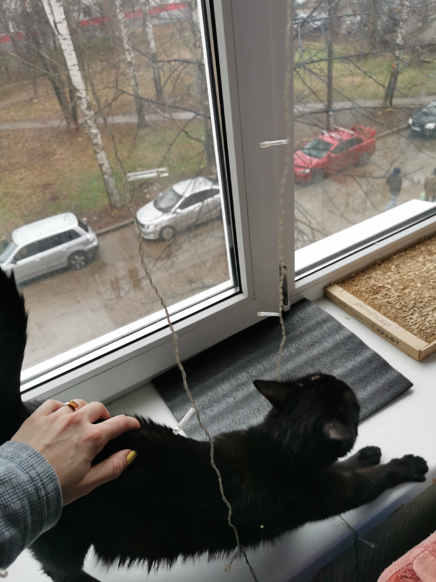 A black cat lies on a grey striped mat on a white windowsill, being petted by a hand wearing a ring and with yellow nail polish. A cardboard cat scratcher sits beside the mat. Outside the window, several cars are parked: a silver station wagon, a silver sedan, a red car with a spoiler, and a black car. Bare trees and apartment buildings are visible in the background. Two figures walk in the street. The location is Chaikovsky, Russia.