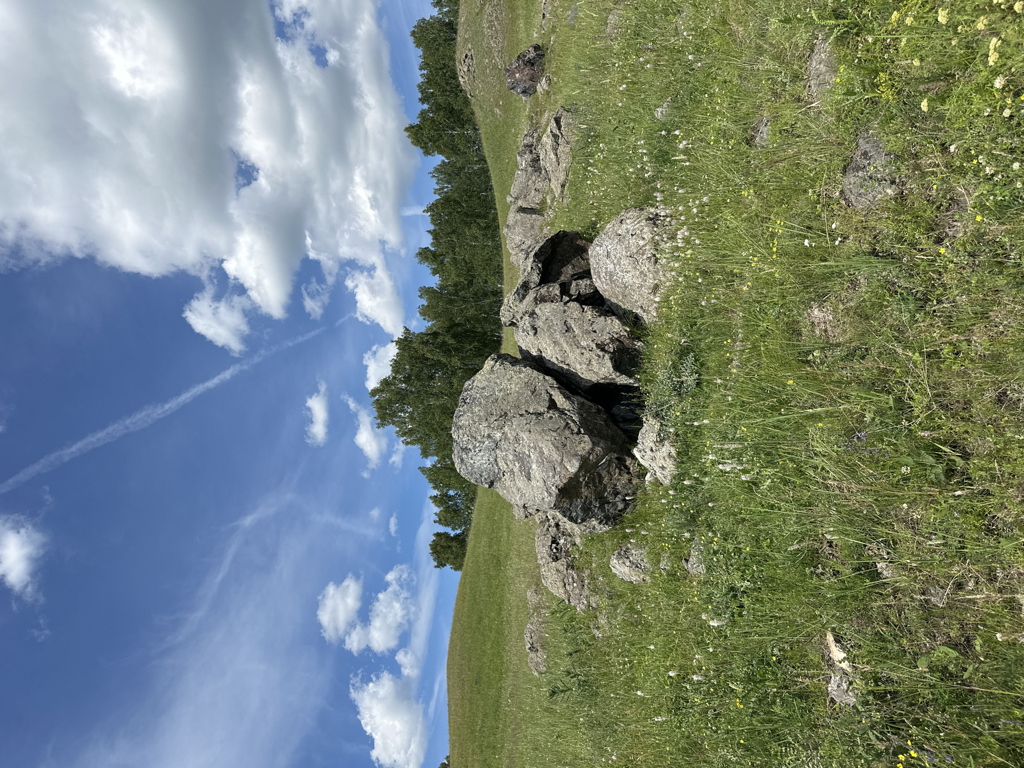 The image captures a vertical landscape view of a grassy hillside under a bright blue sky with scattered white clouds. The foreground is dominated by large, rough-textured grey rocks amidst lush green grass dotted with small white and yellow wildflowers. A line of tall, dark green trees forms a backdrop along the upper edge of the hill. The sky is a vibrant blue, with wispy white clouds and a distinct contrail stretched across it. The scene appears to be set during the daytime, with clear weather. There is no text visible in the image. The overall mood is natural and serene, depicting a peaceful outdoor setting.