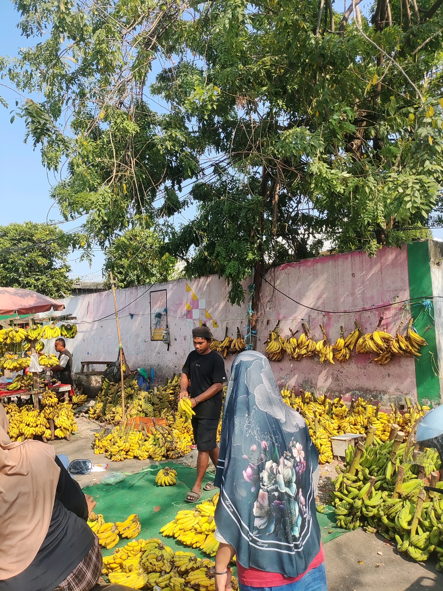 In East Jakarta, Indonesia, a street market bustles with the sale of bananas. Piles of yellow and green bananas are displayed on the ground, on tables, and hung from a wall. Three individuals are visible; a vendor in a black t-shirt and shorts holds a bunch of bananas, while another person in a black t-shirt and a black cap appears to be examining bananas. A third person, partially obscured by a scarf, is seated. The scene is set against a backdrop of a pink and green wall, with lush trees providing shade overhead. The presence of a motorcycle suggests a mode of transport common in the area.