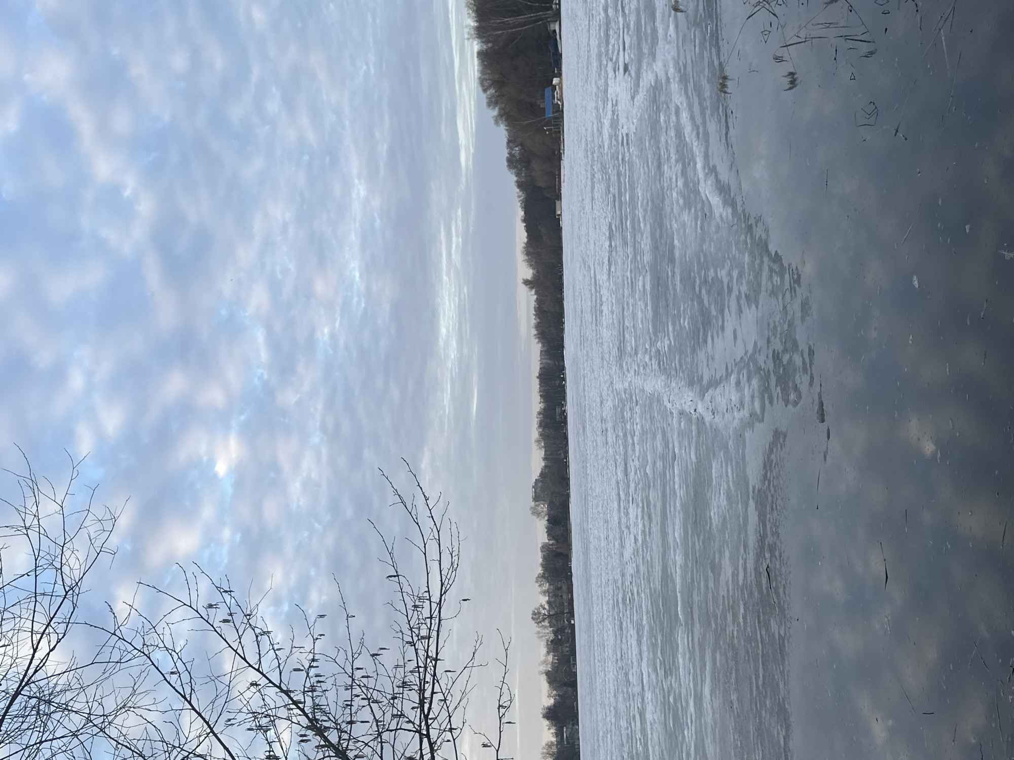 The image shows a frozen body of water, possibly a lake or river, reflecting the sky with clouds. The water surface is partially covered with ice and shows some markings or patterns on the surface. In the distance, there's a treeline suggesting a park or forest bordering the water. The foreground features bare tree branches. The scene could be located in Moscow, Russia, given the presence of frozen water and trees which are common in the region during winter.
