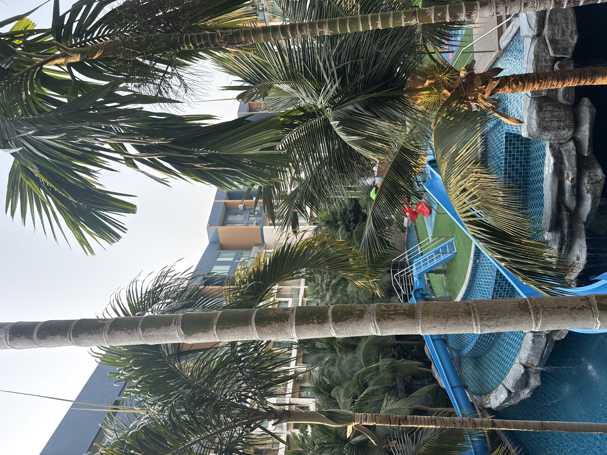 This media file captures an outdoor scene at what appears to be a tropical resort or hotel, likely in Pattaya City, Thailand. The dominant subjects are several palm trees, which fill much of the frame, their green fronds creating a dense canopy. Three prominent palm trunks are visible, one in the near foreground with a textured, ringed appearance, and two others further back.
Beneath the palms, a swimming pool with bright blue tiles is visible, featuring a blue water slide structure with stairs. The pool area is designed with rocky, organic-shaped edges, and the water appears clear and inviting. Adjacent to the pool and slides, there's a patch of green artificial turf.
In the background, a modern multi-story building, possibly a hotel or apartment complex, stands with accents of blue and beige on its facade. Several windows and balconies are visible on the building.
No specific activity or event is taking place; the scene is devoid of people, suggesting a tranquil moment. The presence of the pool and slides implies recreational use.
Notable details include the clear, bright sky, indicating sunny weather. The lighting suggests it could be early morning or late afternoon, as some palm fronds are highlighted by the sun while others are in shadow, creating a dynamic interplay of light. There is no visible text in the image. The overall impression is one of a serene and inviting vacation spot.