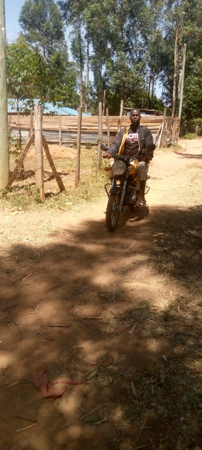 Memory