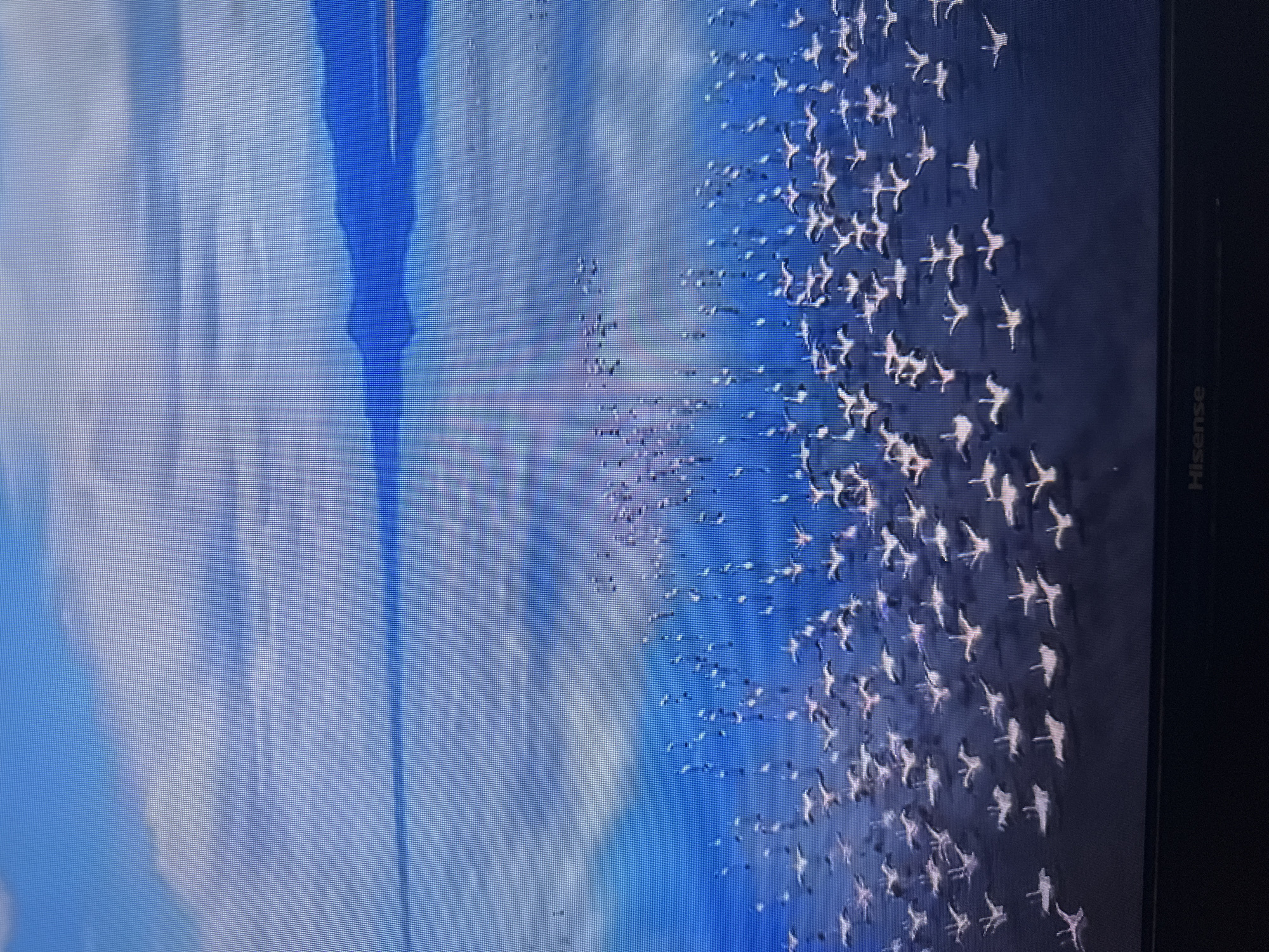 The image shows a vast body of water, reflecting a blue sky with scattered clouds and distant blue mountains. The water is filled with a large flock of white birds, many of which appear to be in flight or landing, their wings spread. The birds are concentrated in the foreground and middle ground, creating a dynamic scene. The image is a photograph taken from a slightly elevated perspective, possibly of a natural landscape. There is no indication of the city of Kyiv, Ukraine, or any urban environment within the image.
