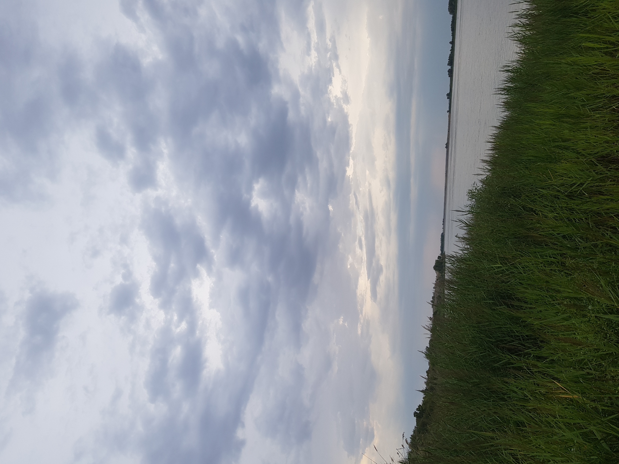The image depicts a wide, calm body of water, likely a river or lake, under an overcast sky filled with dense, grey clouds. The foreground is dominated by tall, vibrant green grass and reeds growing along the water's edge, creating a natural embankment. The far bank of the water appears as a distant, hazy line with a scattering of trees. The overall atmosphere is serene and natural, suggesting an outdoor landscape. There are no people or man-made structures immediately visible, except for what appears to be a distant, low-lying dam or land formation on the far horizon. The location is identified as the city of Kurchatov, Kazakhstan.