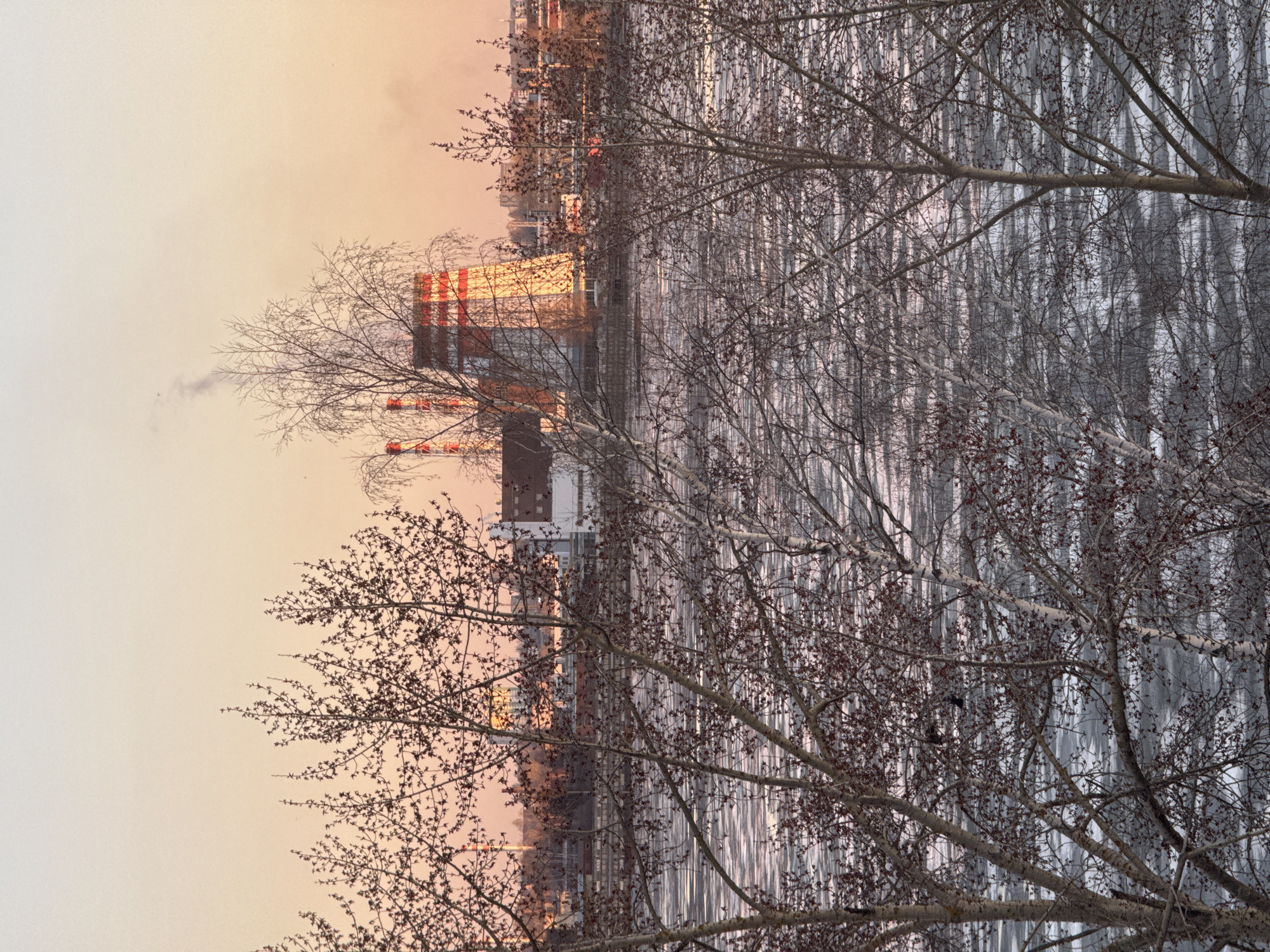 This photograph presents a winter or late autumn urban landscape, showcasing a striking interplay of natural forms and man-made structures under the soft light of dawn or dusk. The image, if rotated 90 degrees counter-clockwise for natural viewing, reveals a foreground dominated by a dense network of bare, intricate tree branches, likely from deciduous trees such as birches, their dark twigs creating a textured silhouette.
Behind these foreground branches, the mid-ground and background unfold an urban scene. To the left, tall buildings are visible, some appearing to be under construction or renovation with scaffolding and structural elements. Distinct red and white striped components, possibly chimneys or parts of industrial towers, stand out. A faint plume of smoke or steam drifts from one of these structures, indicating industrial activity or heating.
The sky, positioned to the upper right after rotation, is bathed in warm hues of orange and pink, suggesting either an early morning sunrise or a late afternoon sunset, casting a diffused, gentle light over the entire scene. To the further left, a dense grove of slender trees, possibly birches, forms a vertical patterned backdrop, their light-colored trunks contrasting with the bare branches. The overall atmosphere appears cold, consistent with the leafless trees and the subtle atmospheric haze. No human figures or visible text are present, allowing the focus to remain on the natural and industrial forms within the Izhevsk, Russia setting.