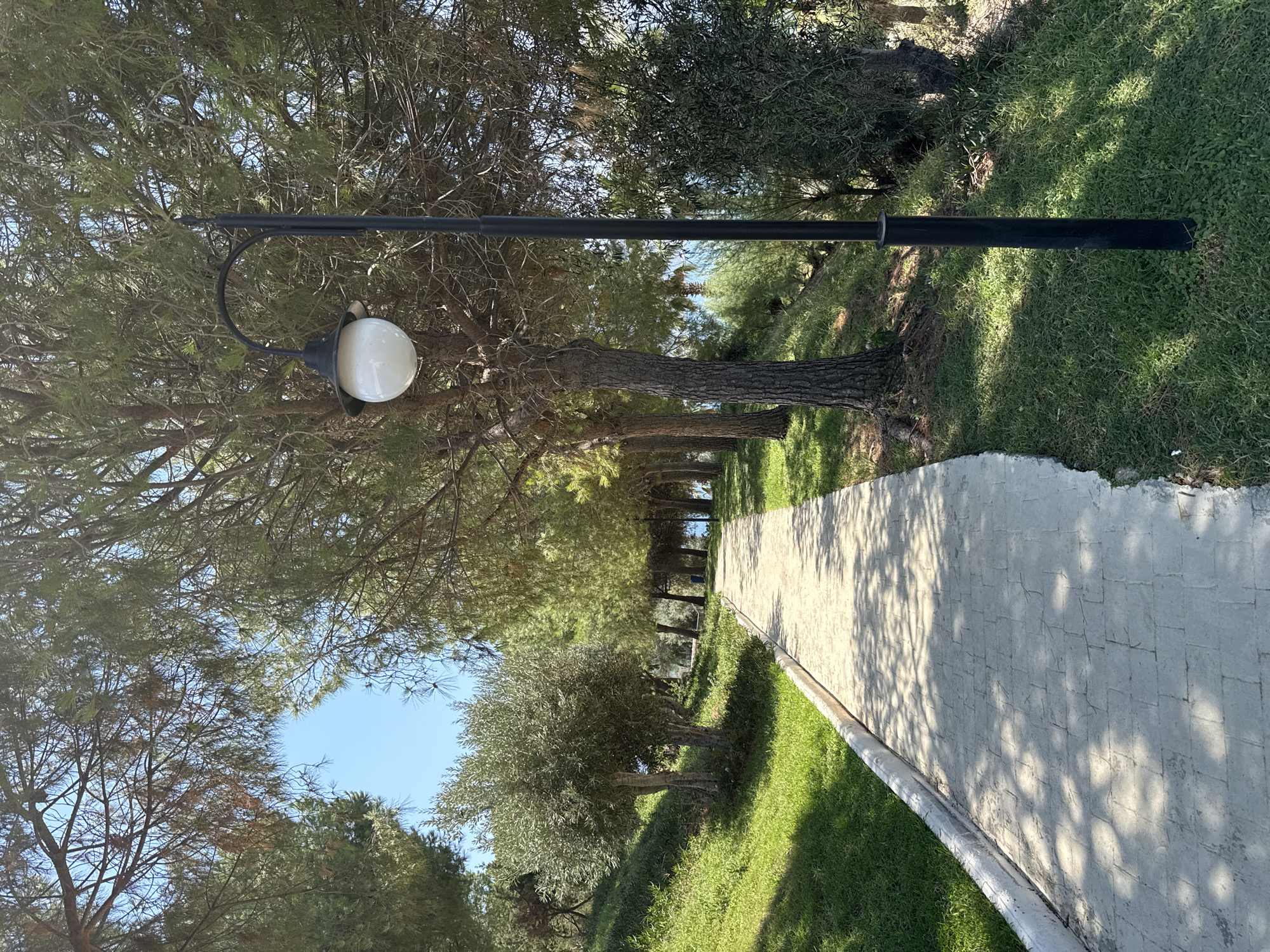 A paved pathway winds through a green, tree-lined park. A black lamppost with a white globe light stands to the right of the path. The pathway is made of light-colored rectangular stones and is bordered by a white concrete curb on the left and grass on both sides. The trees, mostly coniferous with some deciduous trees visible, cast dappled shadows on the path. The ground slopes upward to the left of the path, covered in well-maintained green grass. In the background, glimpses of blue sky and possibly the sea can be seen through the foliage. The scene depicts a serene outdoor public space, likely a park or promenade, in Bodrum, Turkey.