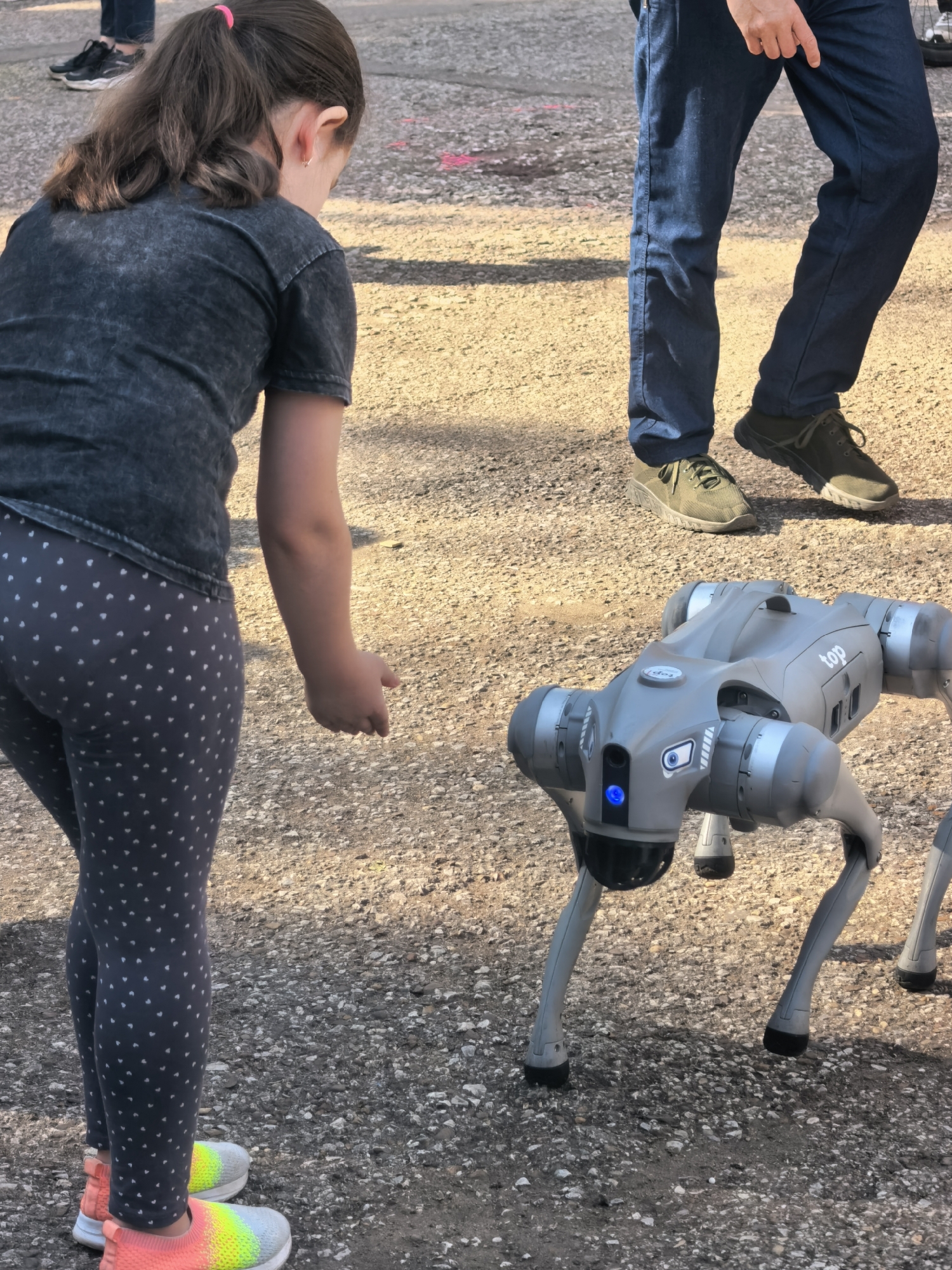 An outdoor, eye-level shot captures a young girl and a robot on a gravel surface, possibly a city pathway in Sterlitamak, Russia. The girl, facing away from the camera and slightly to the left, wears a dark gray t-shirt and dark leggings with a white heart pattern. Her hair is pulled back in a ponytail with a pink elastic. She is looking down towards the robot, her right hand extended slightly. She wears colorful sneakers with neon accents.
To the right of the girl, a gray, four-legged robot is positioned on the ground. It has a blue light on its front. The robot appears to be an educational or entertainment device. In the background, the lower legs of an adult wearing blue jeans and dark sneakers are visible, suggesting the child and adult are together. The ground is a mix of gravel and dirt, with some subtle pink markings, perhaps chalk, indicating it could be a public area like a park or schoolyard. The lighting suggests it is daytime with sunlight casting shadows.