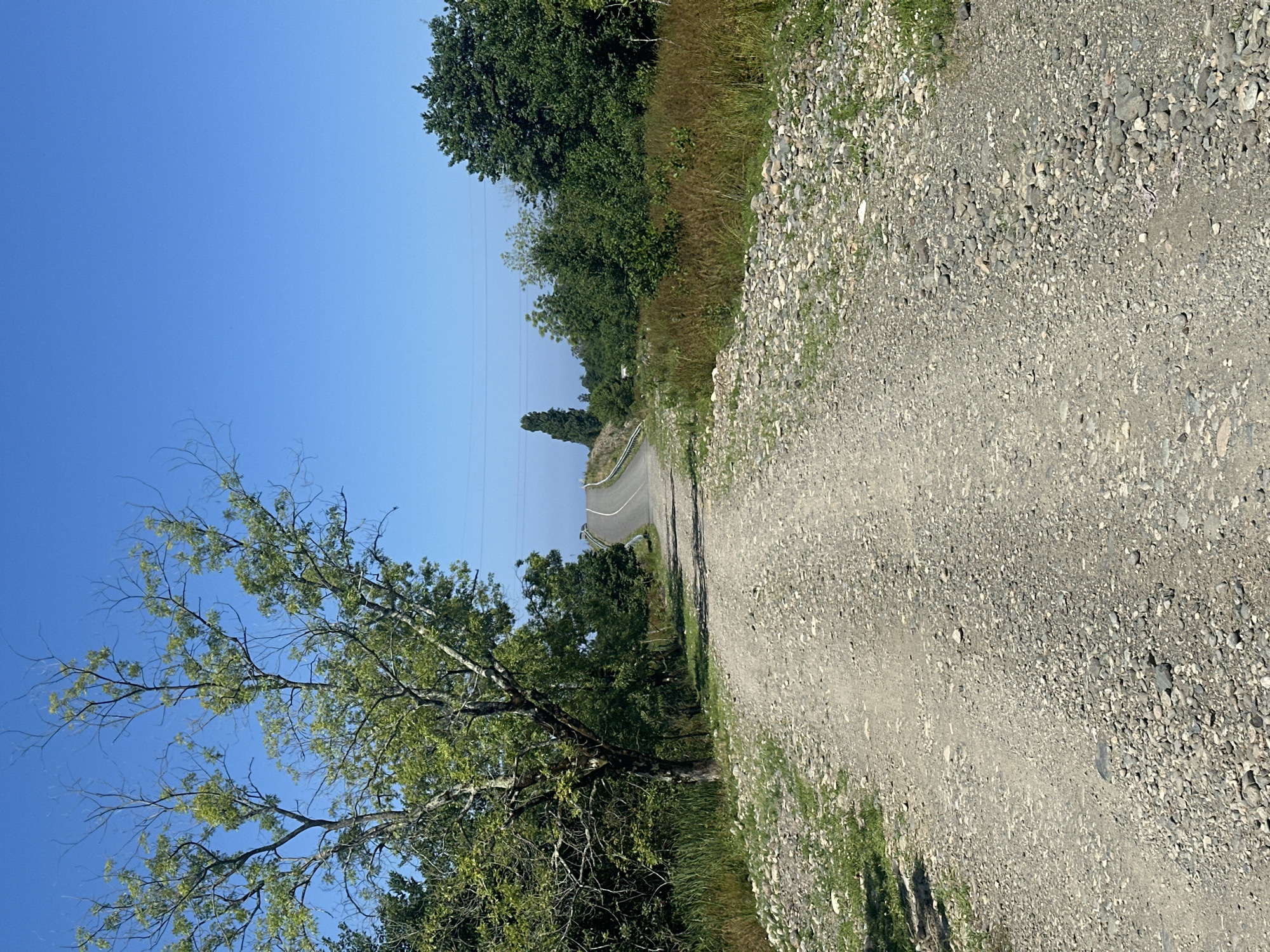This is an outdoor, eye-level, vertical, medium shot of a gravel road curving uphill into a bright, clear blue sky. The road is bordered by green grass, rocks, and trees. A single, sparse tree with green leaves and bare branches is on the left side of the road in the foreground. In the middle distance, a paved road with white lines is visible, curving away from the gravel road. Trees and vegetation line both sides of the paved road, and a tall, slender evergreen tree stands in the background. The image appears to be taken in Ureki, Georgia, a town known for its magnetic black sand beaches, though this scene depicts a rural, inland area.