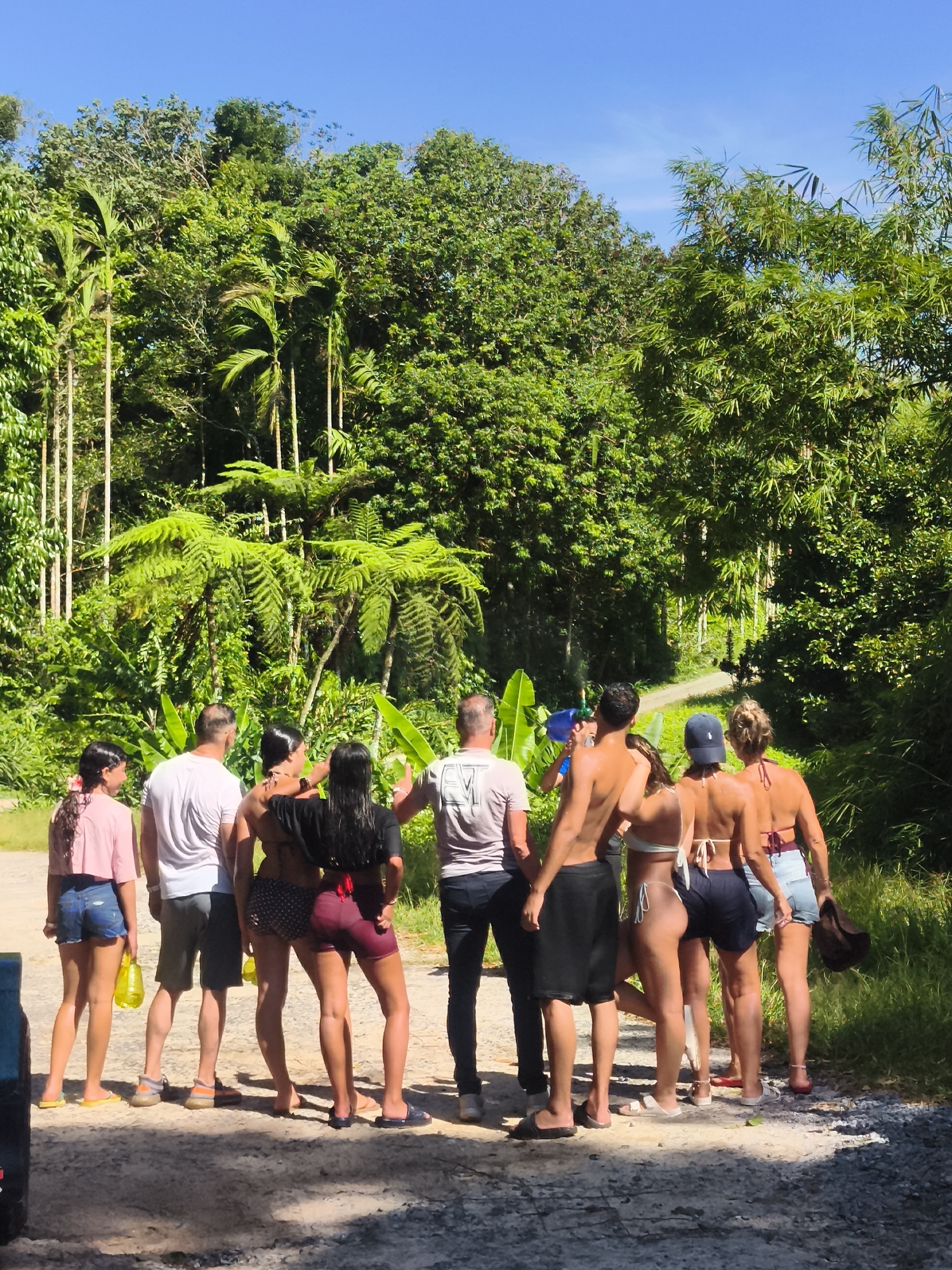 The image depicts a group of eight individuals, comprising four men and four women, standing on a gravel path amidst lush tropical foliage in Ko Samui District, Thailand. The sky above is a clear, vibrant blue, suggesting a sunny day. The group is facing away from the camera, towards a dense forest with various trees, including palms and ferns.
The individuals are dressed in casual, warm-weather attire. The women are wearing bikinis or two-piece swimsuits, some with shorts or skirts over them. The men are in t-shirts and shorts. Some individuals are holding yellow plastic bottles. One person in the background, a man, appears to be holding a blue water gun.
The environment is characterized by abundant greenery, typical of a tropical landscape. The path they are standing on is a mixture of dirt and gravel, with some shadows cast by the trees. The overall impression is of a group perhaps preparing for or returning from an outdoor activity in a natural setting.