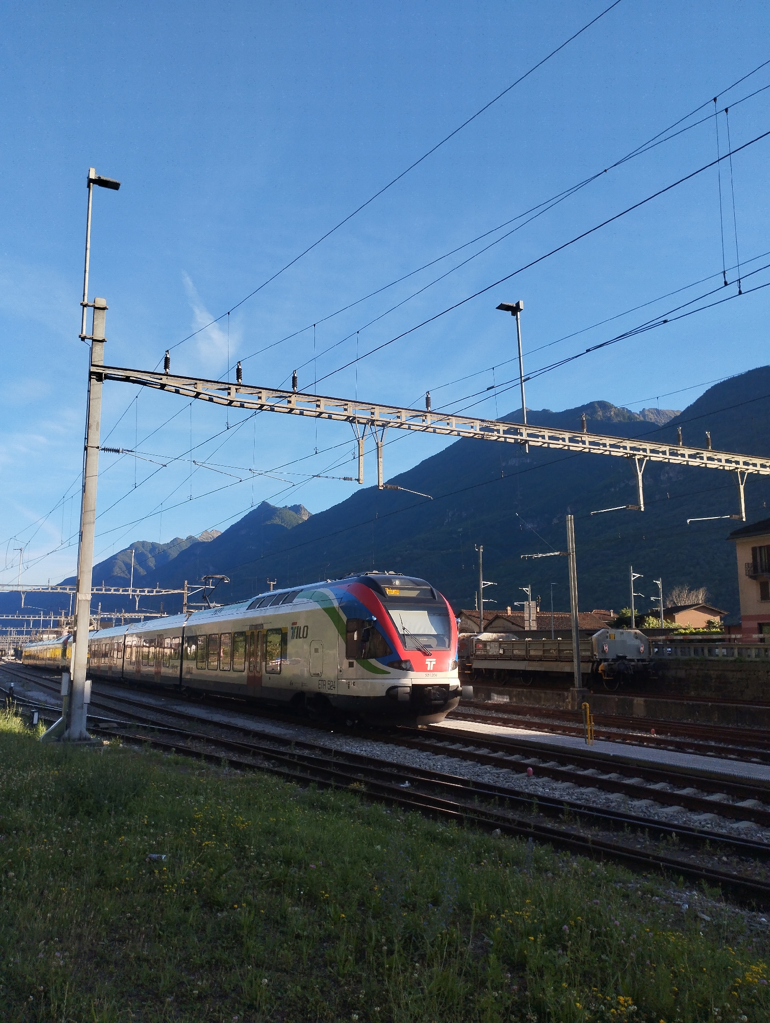 An exterior, eye-level, medium shot captures a train traveling on tracks under a clear blue sky. The train is white with red, green, and blue accents and is identified as "TILO ETR 524" on its side. It's positioned on the right side of the frame, moving from left to right. In the background, a range of dark, forested mountains forms a backdrop, with power lines and support structures crisscrossing the sky above the train and tracks. A paved platform with a yellow pole is visible to the right of the train. The foreground features a grassy embankment dotted with small yellow and purple flowers. The scene appears to be a train station or railway line in a mountainous region, possibly at dawn or dusk due to the lighting.