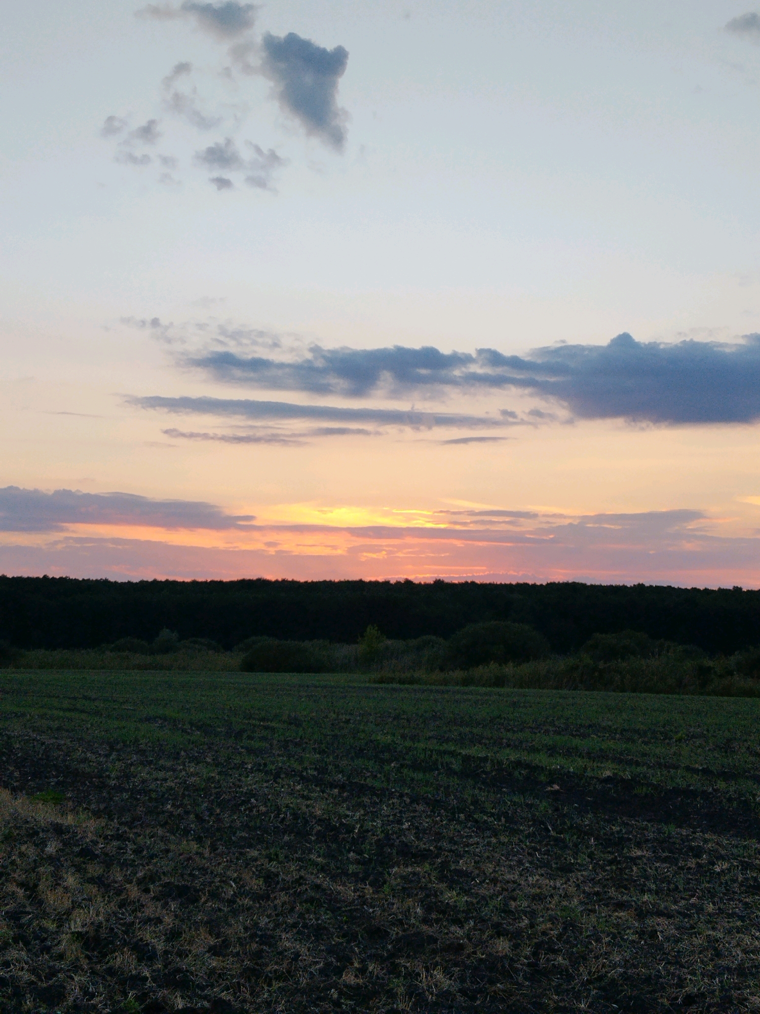 This is a landscape photograph taken in Pidluky, Ukraine, during what appears to be sunset. The image depicts a wide, dark, freshly plowed field in the foreground, with faint green sprouts of emerging vegetation visible in some areas. The middle ground is dominated by a dense line of dark green trees forming a forest edge. Beyond the trees, the sky displays a gradient of colors characteristic of sunset. The lower part of the sky is illuminated with soft oranges and yellows, suggesting the sun is near the horizon. Higher up, the sky transitions to a pale pink and then to a muted blue, with scattered dark grey clouds present in the upper portion of the frame. There are no people or animals visible in the image. The overall impression is one of a rural, serene, and natural environment.