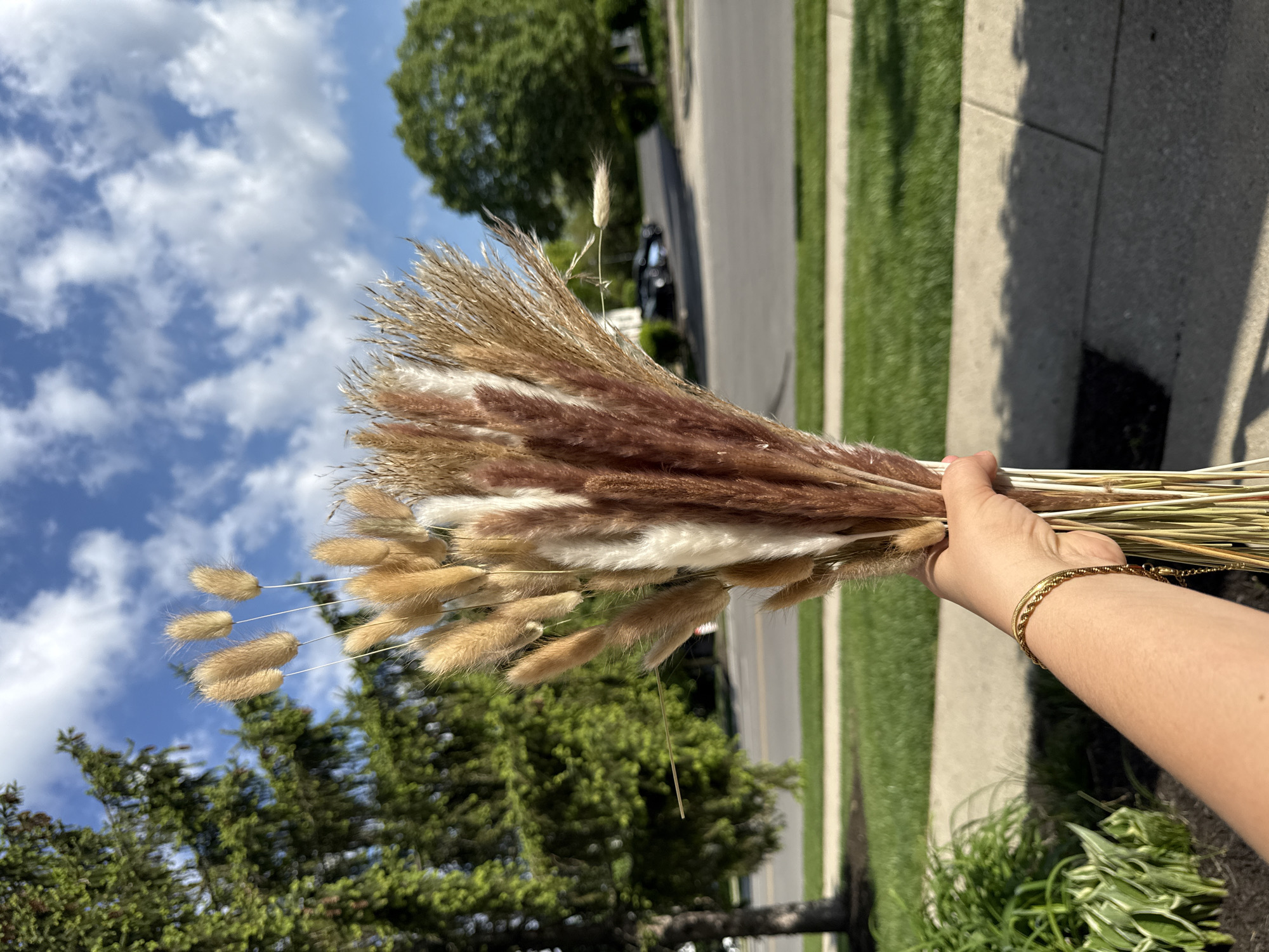 A person's right hand holds a bouquet of dried grasses in an outdoor setting. The hand, with a gold chain bracelet on the wrist, grasps the stems of the arrangement. The bouquet is composed of various types of dried grasses, including fluffy, light brown bunny tail grass (Lagurus ovatus) and feathery plumes of reddish-brown and white pampas grass.
The background features a vibrant blue sky dotted with scattered white cumulus clouds. Lush green trees are visible in the mid-ground and distance, suggesting a warm and sunny season. Below the tree line, a paved street or sidewalk extends, bordered by neat green grass. Strong sunlight illuminates the scene, casting distinct shadows on the ground, indicating it is daytime, likely midday or early afternoon. The overall environment suggests a residential or suburban area in Columbus, United States of America. No specific activity beyond holding the bouquet is evident, and no text is visible in the image.