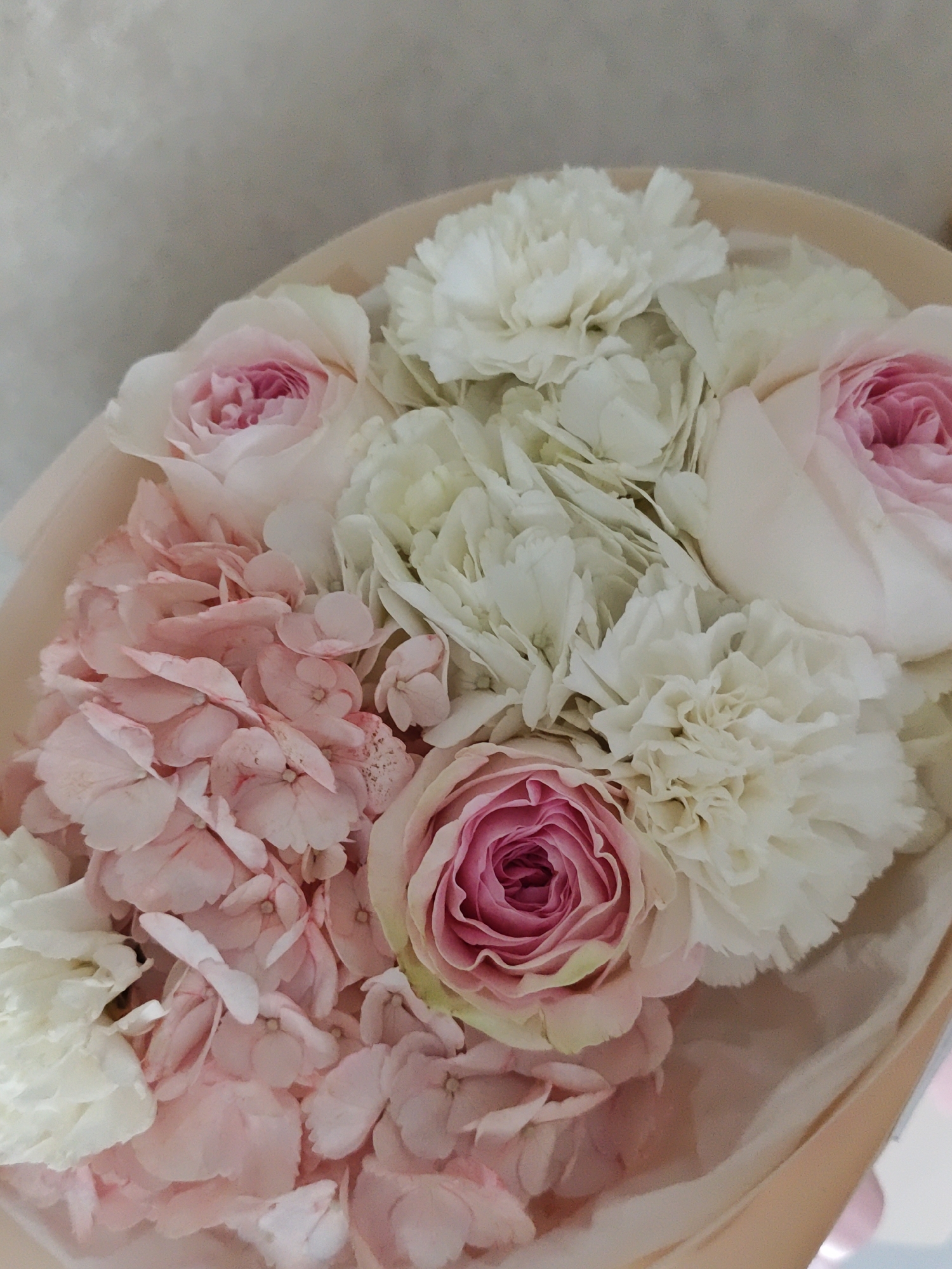 This close-up, high-angle image showcases a beautiful floral bouquet predominantly featuring soft pink and white hues. The arrangement consists of several light pink roses with darker pink centers, interspersed among numerous fluffy white or off-white carnations. A prominent cluster of delicate light pink hydrangeas occupies the left and central-lower portion of the bouquet, adding a different texture and depth to the composition.
The flowers are neatly arranged and appear to be wrapped in a soft, light beige or peach-colored material, possibly paper or fabric, which is visible around the edges of the bouquet, creating a gentle frame. The background behind the flowers is plain and light-toned, likely an off-white or light gray wall, suggesting an indoor setting.
No people are visible in the image, and no specific activity is taking place, as it is a static photograph of the floral arrangement. The lighting is soft and diffused, enhancing the delicate nature of the petals and the overall serene aesthetic. The flowers convey a sense of freshness, elegance, and thoughtfulness. There are no discernible location cues within the image itself that directly indicate Vinnytsia, Ukraine, nor is any text visible. The time of day cannot be precisely determined, but the even lighting suggests daylight conditions.