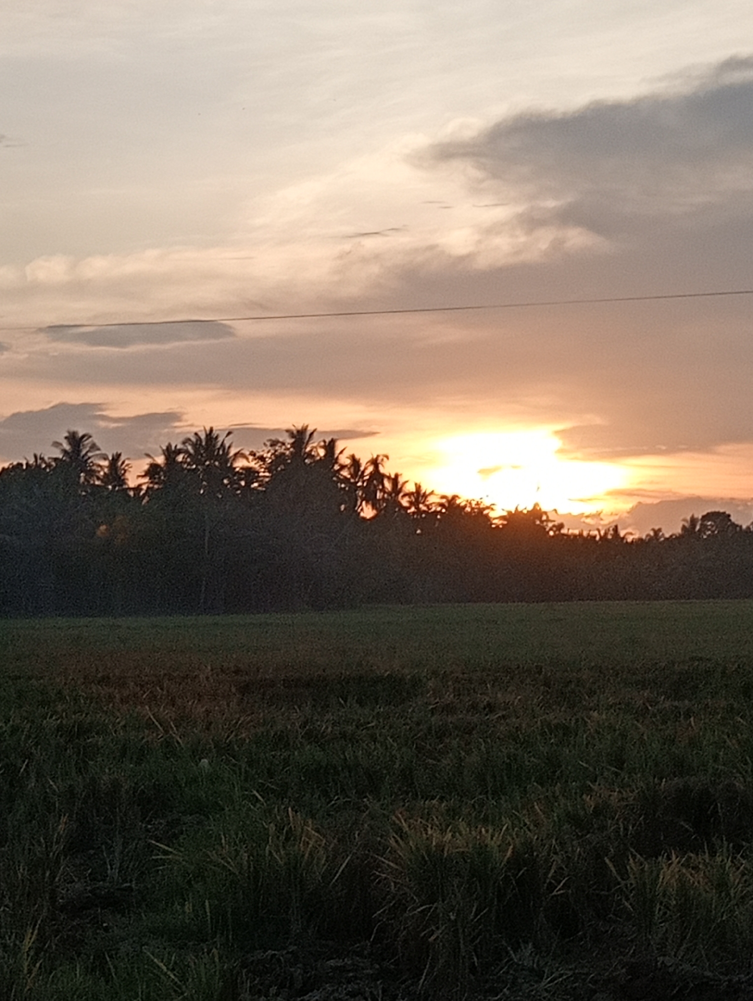 The image shows a sunset scene in a rural area. In the foreground is a dark field of tall grass. A line of silhouetted trees, mostly palm trees, forms the middle ground, with the setting sun appearing behind them. The sky is filled with clouds, with orange and gray hues indicating the sunset. There's a faint wire visible running horizontally across the upper part of the image. The location is likely somewhere in the vicinity of Lhokseumawe, Indonesia, given that's the information provided. There are no people visible in the image.