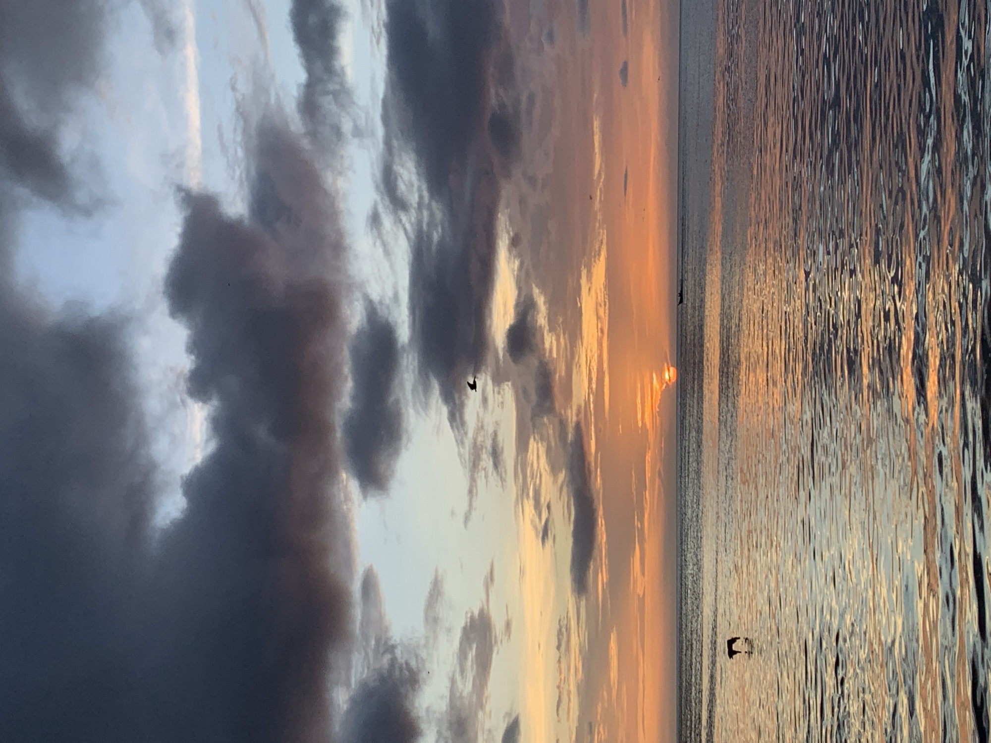 A serene sunset scene unfolds over the waters of Juan Griego, Venezuela. The sky is a canvas of dramatic clouds, ranging from deep charcoal to soft pastel pinks and oranges, illuminated by the setting sun which peeks out from behind the horizon. The sun's warm glow reflects on the rippling surface of the ocean, creating a shimmering effect. In the foreground, a lone figure, possibly a person or animal, stands partially submerged in the water, silhouetted against the vibrant reflection. Further out at sea, a small boat navigates the tranquil waters. The overall atmosphere is one of peaceful solitude and natural beauty.
