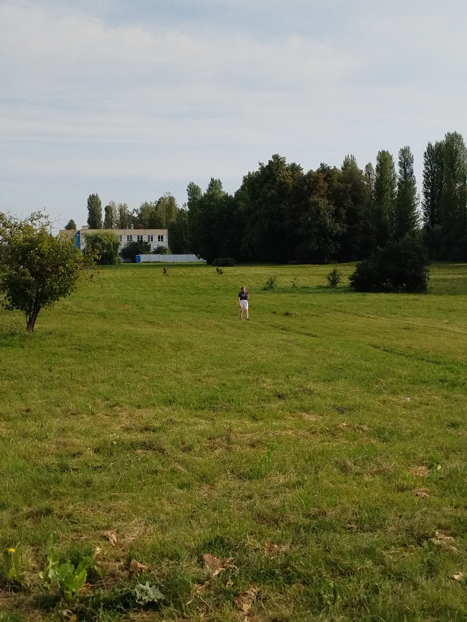 The image depicts an outdoor scene in a park-like setting. A young woman with blonde hair is standing in a large, grassy field. She is wearing a dark top and white shorts. The field is mostly green with some patches of drier grass and a few scattered plants. In the background, there is a long, light-colored building with many windows, possibly a school or administrative building. Tall, slender trees line the edge of the field behind the building. The sky is overcast with some visible clouds. The scene appears to be located in an urban or suburban area, given the presence of the building and the organized landscaping. The overall impression is one of a calm, daytime environment.