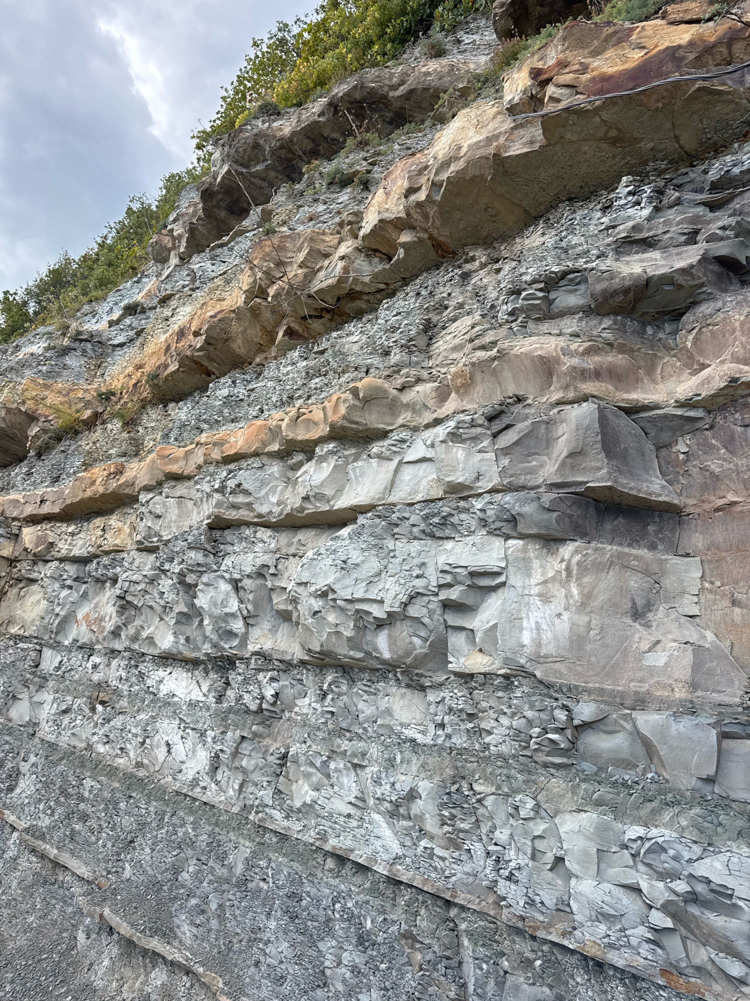 The image displays a geological rock face, likely a cliff or embankment, characterized by distinct horizontal strata. The rocks vary in color, ranging from shades of gray and brown to an orangish hue in some layers. The texture is rough and fractured, with evidence of erosion and weathering. Vegetation, consisting of trees and shrubs, grows along the top and sides of the rock face, suggesting an outdoor environment. The sky is visible in the upper left quadrant, appearing overcast with clouds. The overall scene depicts a natural geological formation.
Without further information or visual cues within the image, it is not possible to determine if this scene is located in the city of Novomikhaylovsky, Russia. There are no discernible landmarks, signs, or human elements that would specifically identify the location.