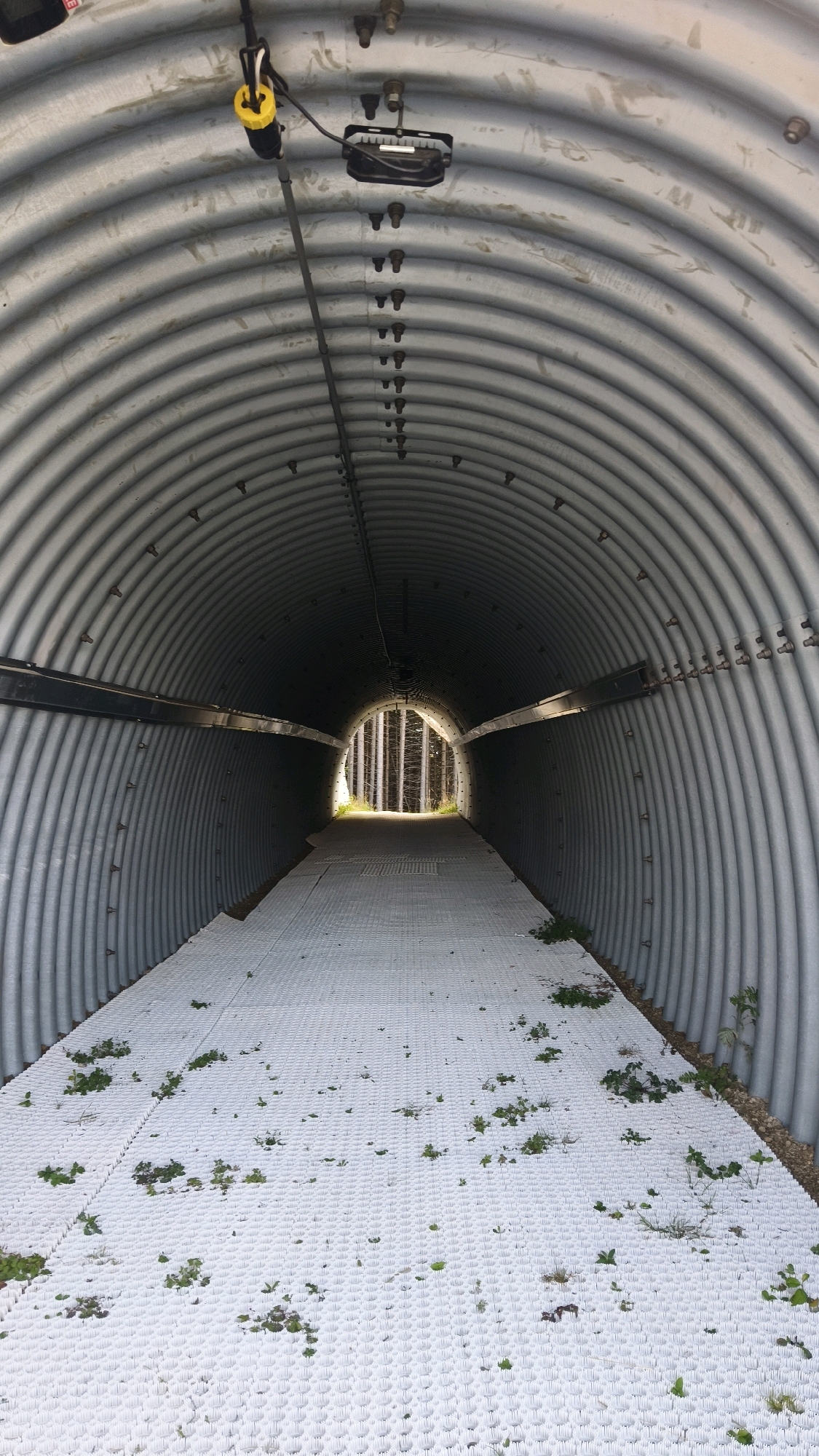 The image shows a view from inside a ribbed metal tunnel, likely a pedestrian underpass or culvert, in Semmering, Austria. The tunnel is illuminated from the end, revealing a bright opening with trees and foliage visible outside. The floor of the tunnel is covered with a white, textured grid matting, with small green plants growing through some of the openings. The ribbed metal walls of the tunnel curve upwards and inwards, converging towards the distant exit. There are visible bolts and fixtures along the tunnel's interior. Above, a black electrical box with a yellow and black cable hangs from the ceiling. The overall scene suggests an outdoor infrastructure element, possibly within a park or natural area in Semmering.