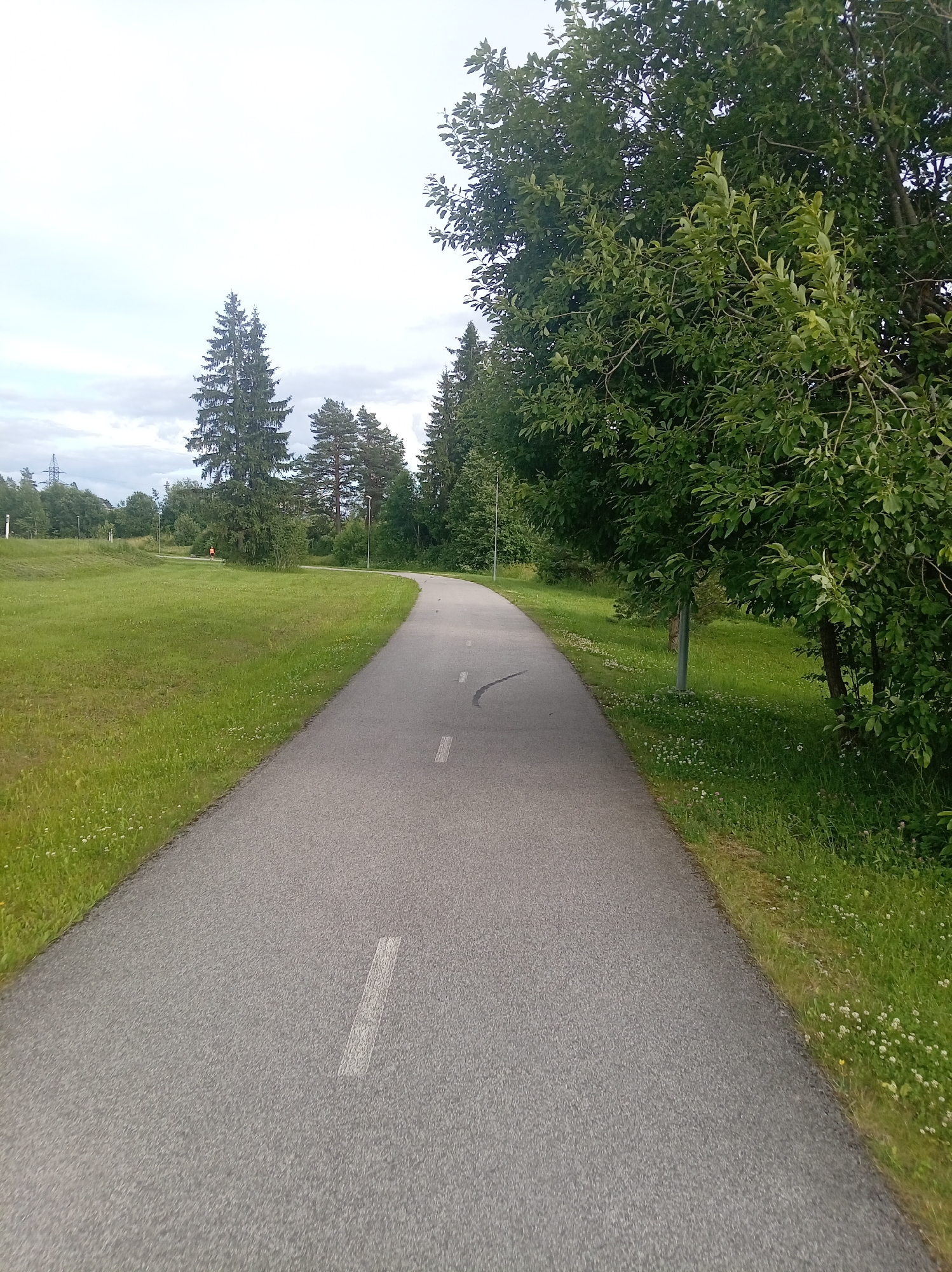 The image depicts a paved path curving through a grassy area with trees. The path has white dashed lines indicating lanes. On the left, a wide grassy field slopes upwards, dotted with small white flowers. Tall coniferous trees and deciduous trees line the path and the background. The sky is overcast. In the distance, on the left side of the path, a person is visible wearing orange and running. There is a power line tower in the far left background. The scene appears to be a park or recreational area. The location is identified as Tapa, Estonia.