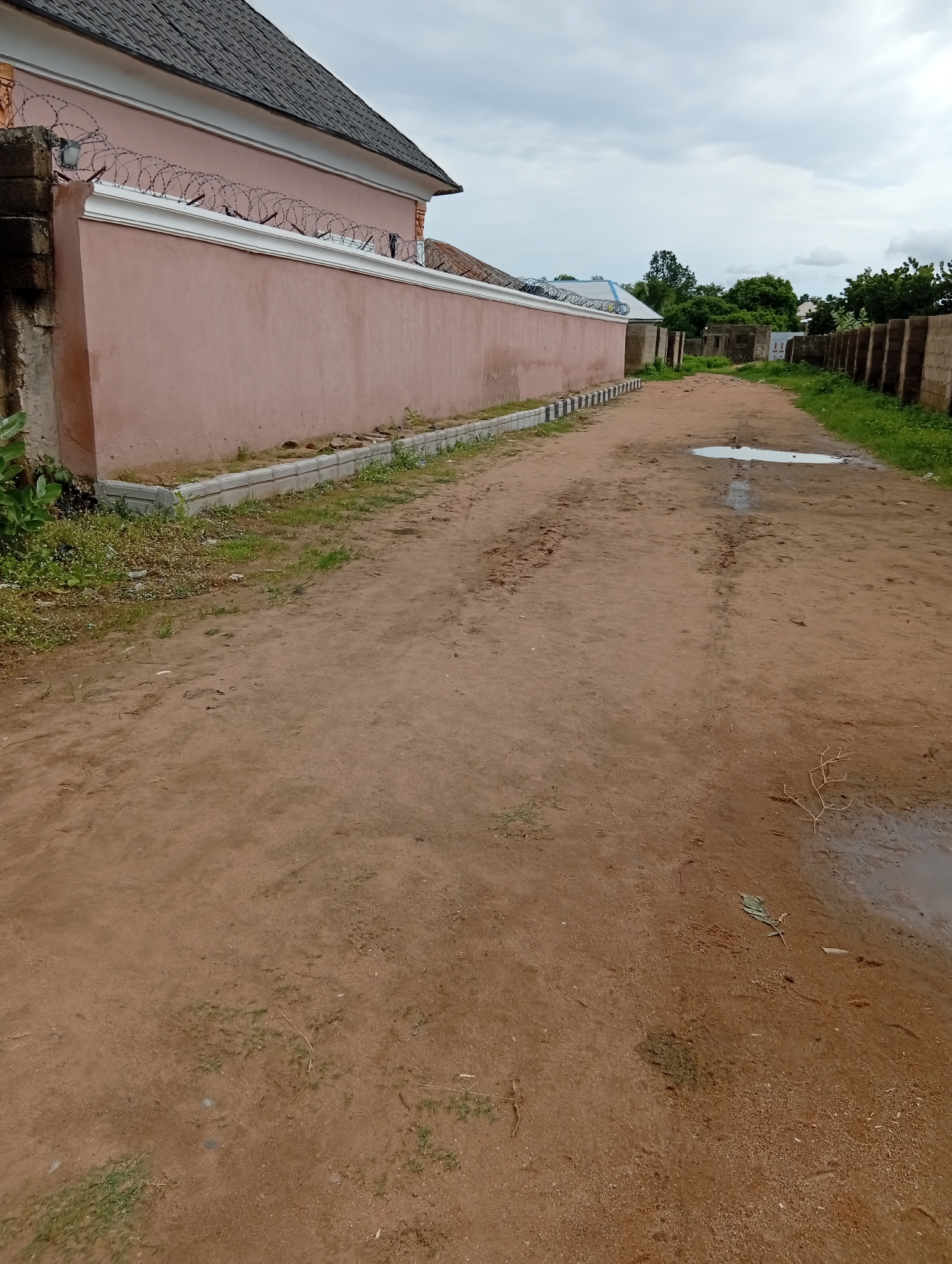 The image depicts a dusty, unpaved road in Jalingo, Nigeria, on a cloudy day. To the left, a pale pink wall topped with barbed wire runs along the property line of a building with a dark tiled roof. The wall has a white trim and a grey, segmented concrete base. Adjacent to the wall, a small strip of green grass and weeds grows. The road itself is made of packed earth, with visible tire tracks and puddles of water, suggesting recent rain. Further down the road, on the right side, a fence constructed from concrete blocks can be seen, with a line of greenery behind it. The overall environment appears to be a residential or semi-rural area within the city.