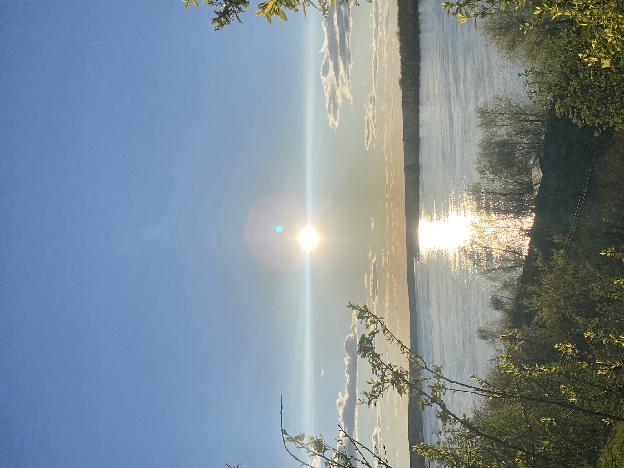 Captured outdoors, the image portrays a sunset scene over water, likely a river or large lake. The sky is a gradient of blue, lighter towards the horizon where the sun is positioned. The sun is a bright, circular form with light streaks emanating from it, indicating a clear atmosphere. Clouds are scattered horizontally near the horizon, reflecting the sunlight. The water surface glistens with reflected sunlight, showing ripple-like patterns. The landscape consists of vegetation, including trees and branches in the foreground, partially framing the scene. The presence of water bodies and vegetation align with natural features found in areas like Ольховка, Russia. However, the image itself does not specifically confirm the city as its location. No people are visible in the scene.