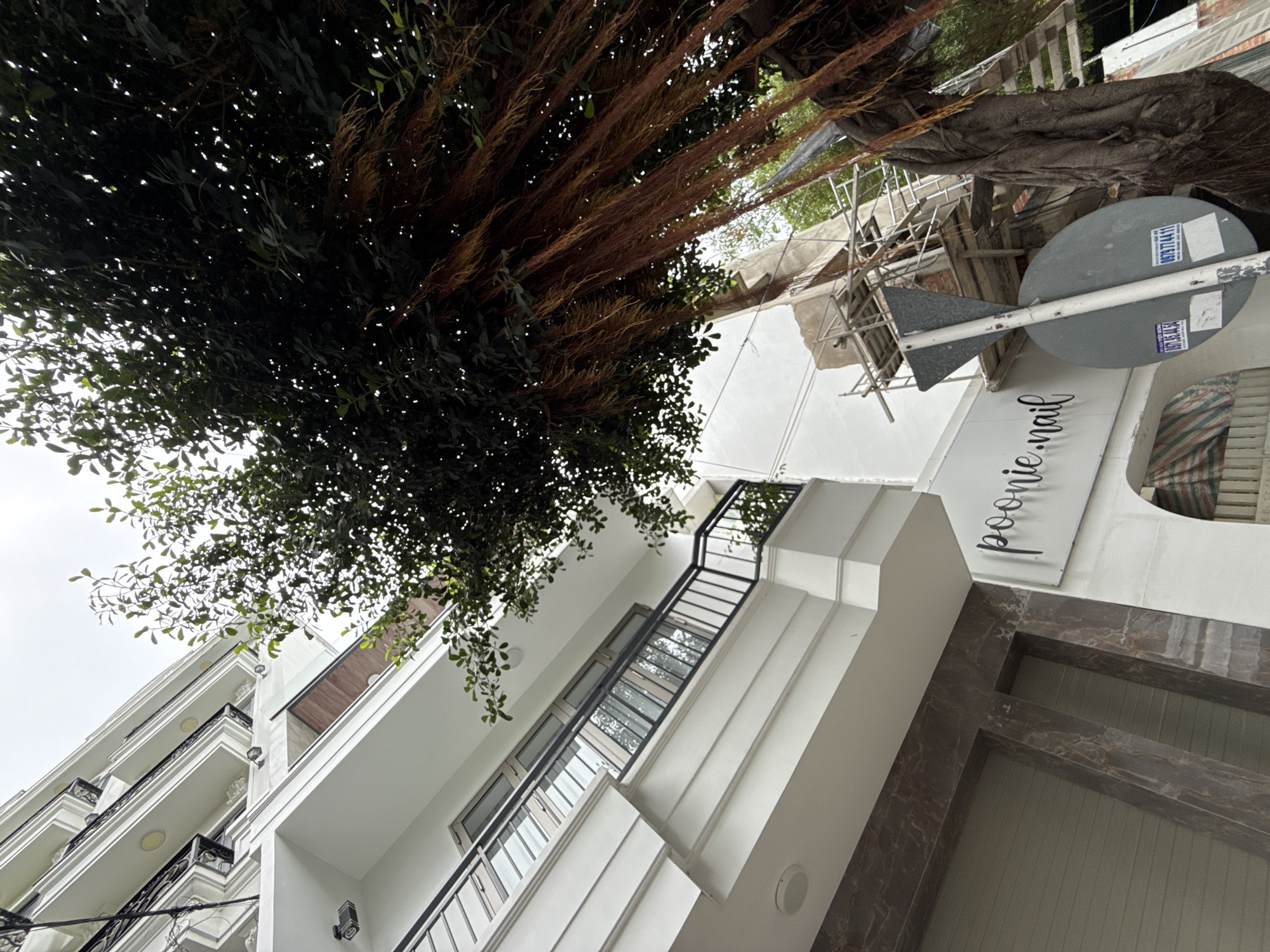 The image shows the exterior of a white, multi-story building with balconies. A large tree with hanging aerial roots is prominently featured in the foreground, obscuring parts of the building. The tree's trunk is thick and gnarled. One of the buildings has a sign that reads "poonie.nail". Scaffolding is visible on another part of the building. Street signs are also present. The sky is overcast. Based on the visible signage with Vietnamese phone numbers and the architectural style, the location is likely in Nha Trang, Vietnam.