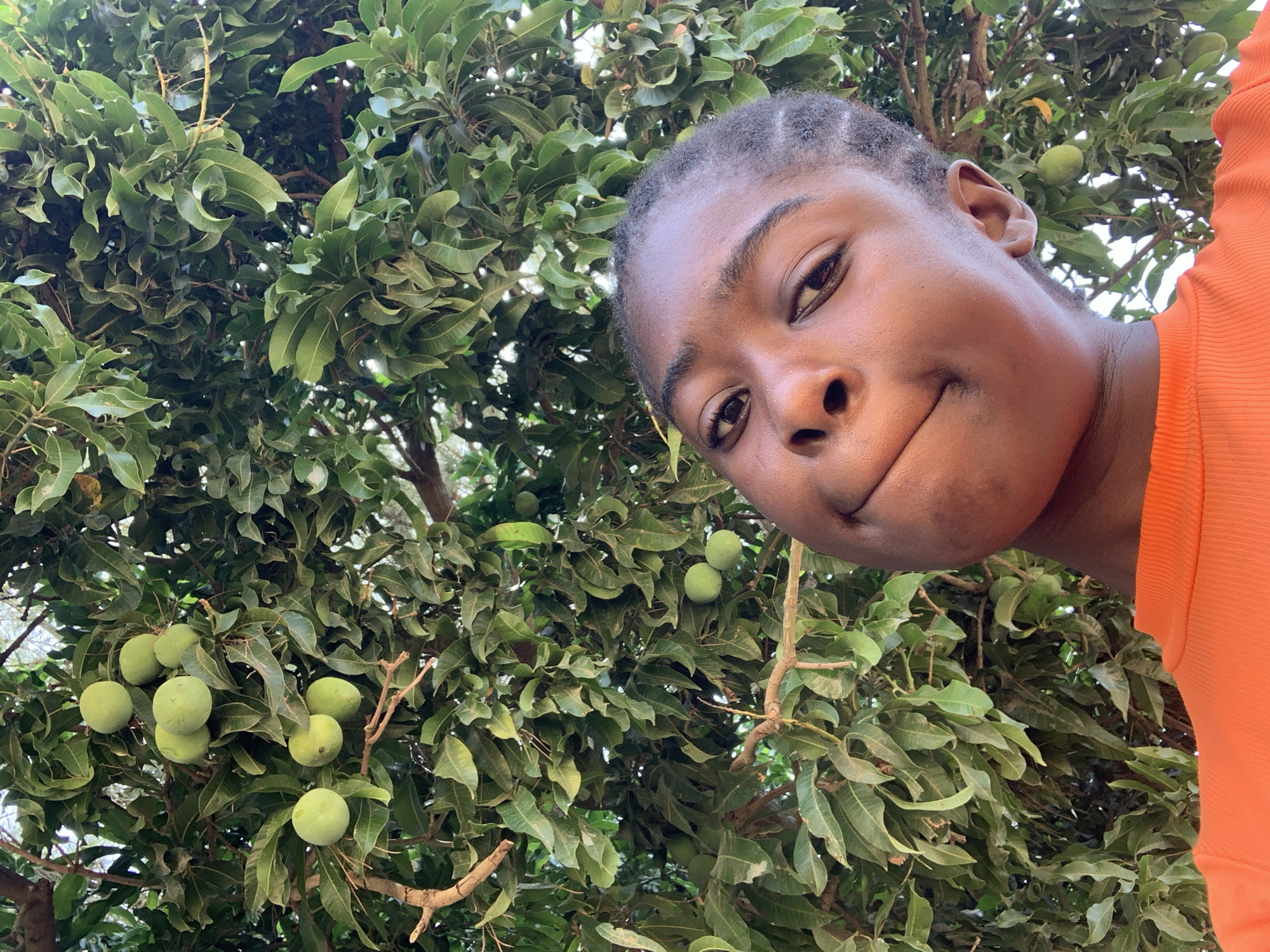 The image features a close-up, low-angle perspective of a person with dark skin and short dark hair. The person appears to be taking a selfie or posing for a photo. They are wearing an orange top. Behind the person is a lush tree filled with green leaves and numerous round, green fruits, possibly mangoes. The tree seems to be located outdoors, suggesting an orchard, garden, or natural environment. The presence of mangoes indicates a tropical climate. Given the location in Rafin Par, Nigeria, the scene likely represents a local agricultural setting or a residential area with fruit trees.