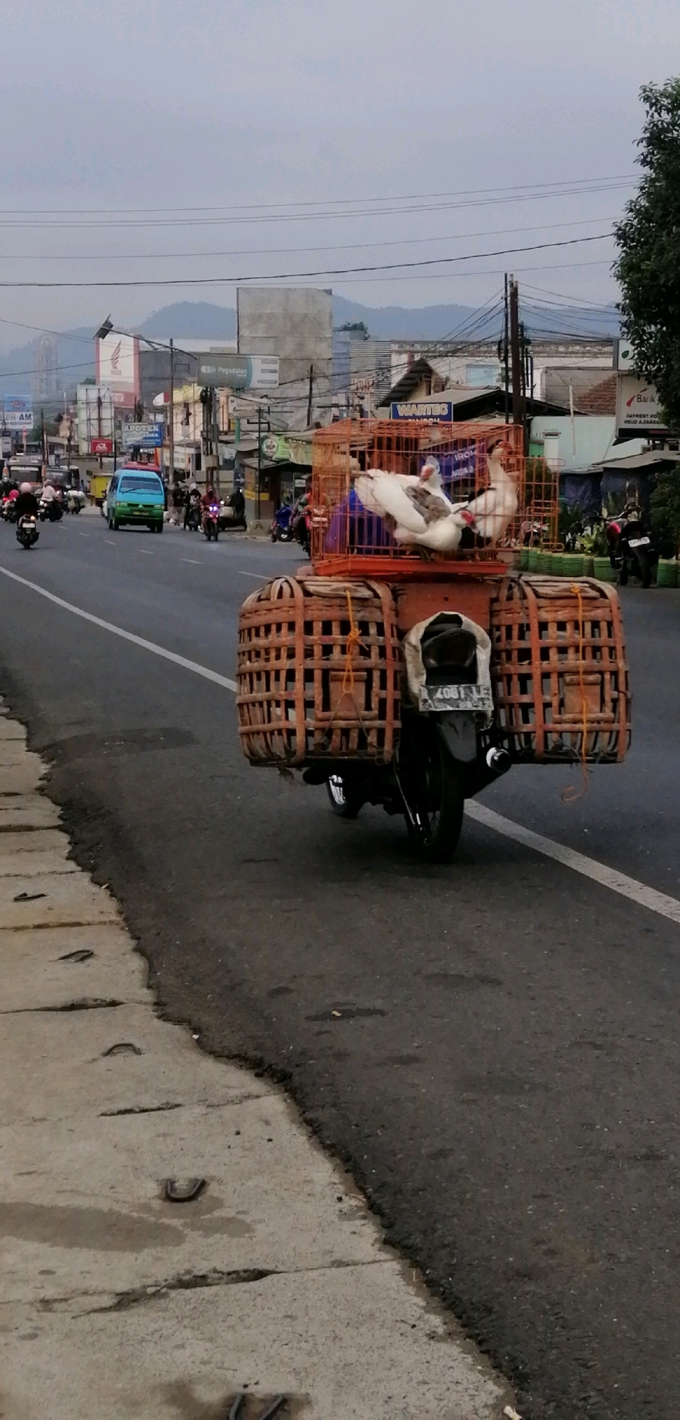The image depicts a street scene in Ajibarang, Indonesia, with a focus on a motorcycle transporting live poultry. The motorcycle is heavily laden with two large, woven basket-like structures on either side of its rear, likely for carrying goods. On top of these structures, a metal cage contains several white ducks. The motorcycle, with license plate "2081 YS", is positioned in the foreground and is slightly angled towards the right.
The street is paved with asphalt, and a concrete sidewalk with visible cracks and drainage openings runs along the left side. In the background, various buildings line the street, including shops with signage for "WARTED", "APOTEK", and "Pegadaian". Several other motorcycles and a light blue van are visible on the road, indicating moderate traffic. Power lines crisscross the sky above the buildings. The overall atmosphere suggests a typical day in a bustling urban or semi-urban area in Indonesia. The sky is overcast, hinting at potentially cloudy weather.