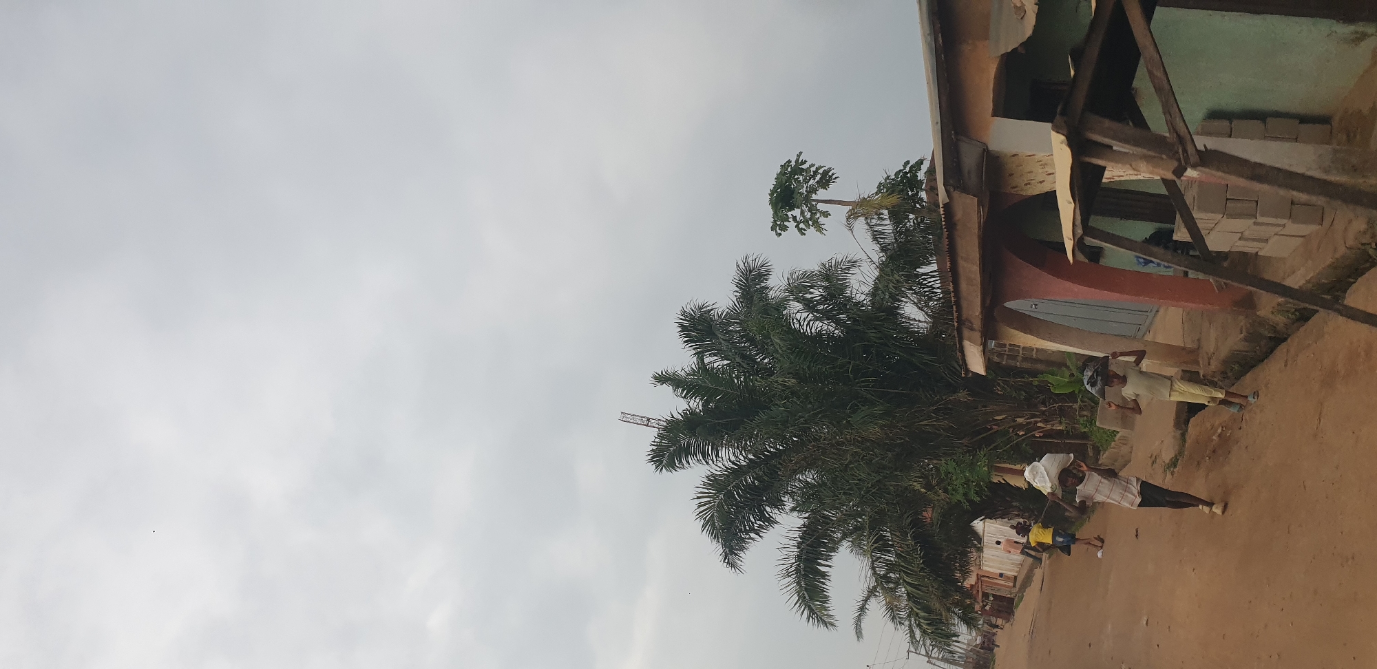 In Sabon Tasha, Nigeria, two young individuals are walking along a dusty, unpaved road. The individual on the left, a young boy, is carrying a large white sack on his head. He is wearing a horizontally striped t-shirt and dark pants. The individual on the right, also appearing to be a young boy, is carrying a dark-colored bag on his head and is dressed in a light-colored t-shirt and yellow pants. They are walking away from the viewer, towards the right side of the frame. In the background, a large palm tree dominates the scene, with a tall antenna structure visible above its fronds. To the right of the palm tree, a smaller tree with broad leaves grows on top of a building. The buildings lining the road appear to be constructed with concrete blocks and have corrugated metal roofs. The sky is overcast with a dull, grey hue. The overall impression is a residential street scene under a cloudy sky, with children engaged in the task of carrying goods.