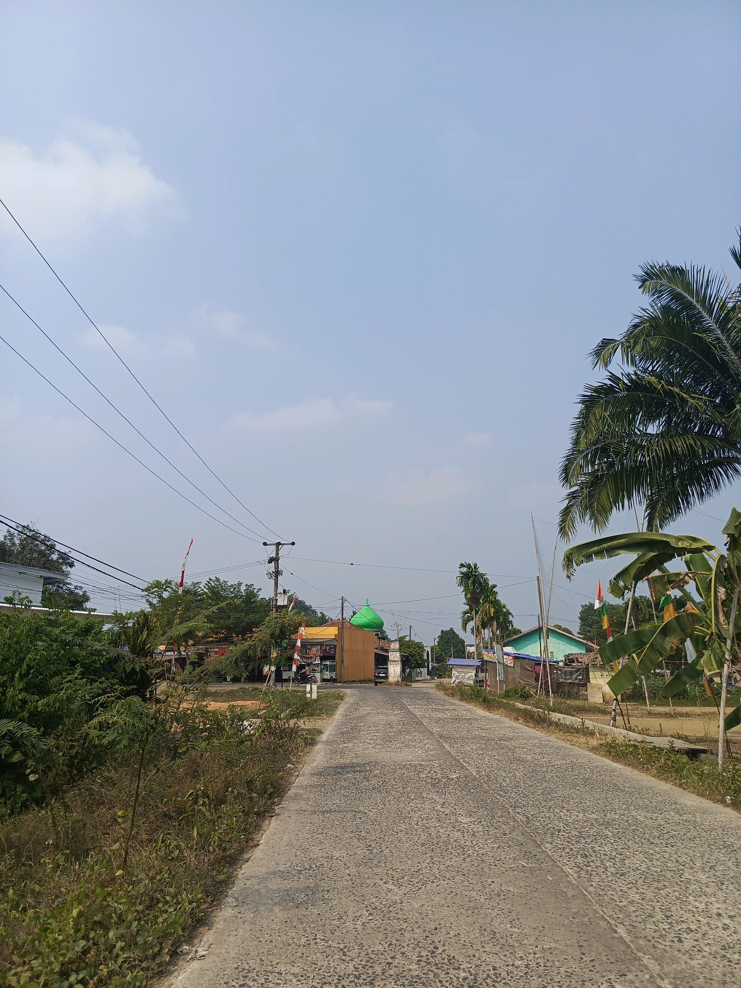The image shows a straight, paved road leading towards a distant intersection in Megang Sakti V, Indonesia. On the left side of the road, dense green foliage and trees are visible, with power lines stretching across the frame. Further down the road on the left, a building with a light-colored facade and a red and white flag can be seen, along with more trees and smaller structures. In the distance, a prominent green dome, likely belonging to a mosque, stands out against the clear blue sky. The right side of the road features more vegetation, including palm trees and banana trees with large leaves. A few small buildings and stalls are also present on the right. The sky is a pale blue with a few wispy clouds. The overall scene depicts a rural or semi-urban setting in Indonesia on a bright day. There are no discernible people or animals in the image.