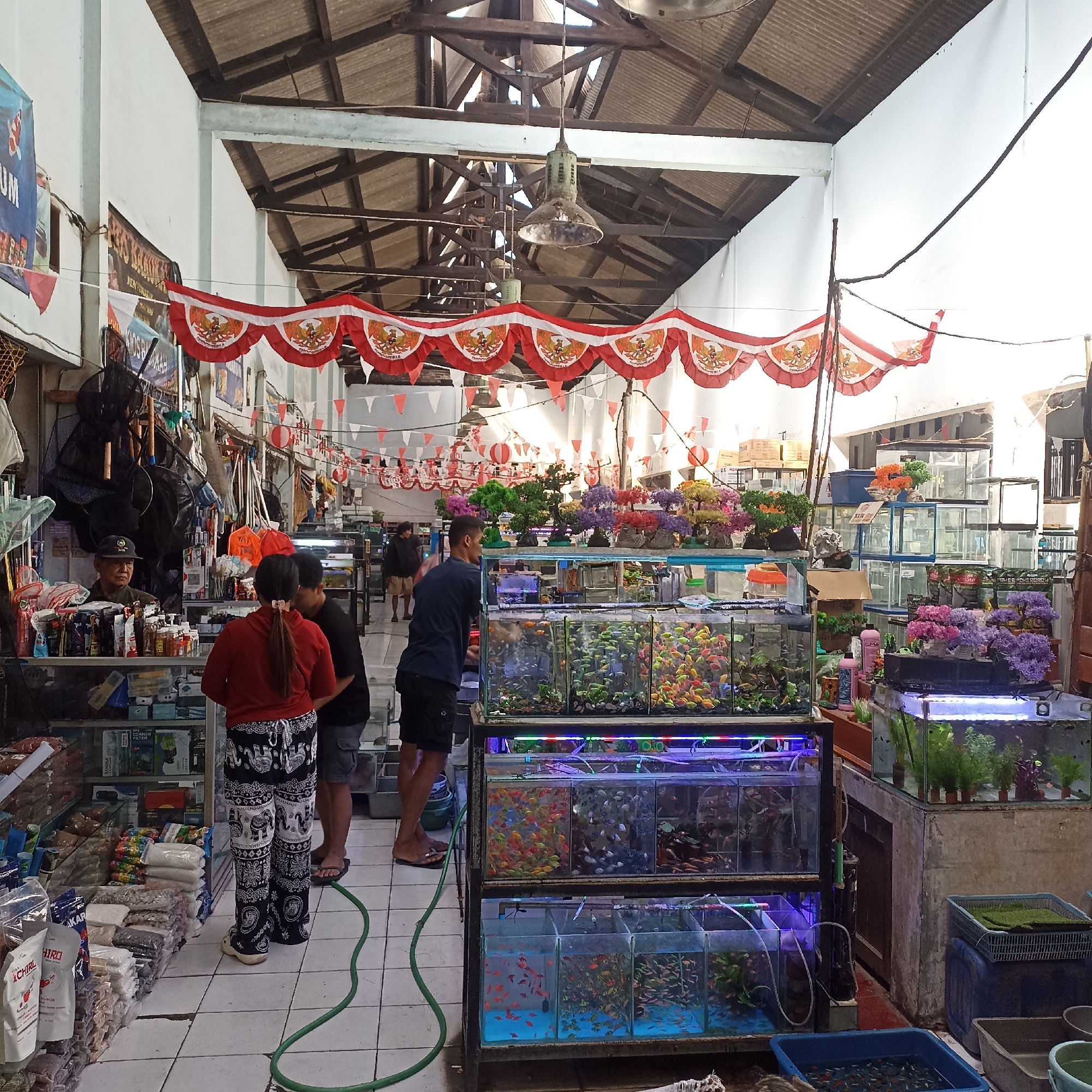 The image depicts an outdoor market stall in Magelang, Indonesia, specializing in aquarium supplies and ornamental fish. The stall is decorated with red and white pennant banners, possibly indicating a national celebration. Multiple glass aquariums are stacked on display, filled with colorful small fish. Artificial plants and decorative items are also visible on top of the aquariums. Several people are browsing the merchandise, including a man in a dark blue t-shirt and shorts interacting with the aquariums, and a woman in a red top and patterned pants looking at something on a shelf. An elderly man wearing a cap sits behind a counter stocked with various packaged goods, likely fish food or aquarium accessories. In the background, more stalls and displays can be seen, suggesting a bustling market environment. The overall scene conveys a lively atmosphere of commerce and a shared interest in aquatic life.