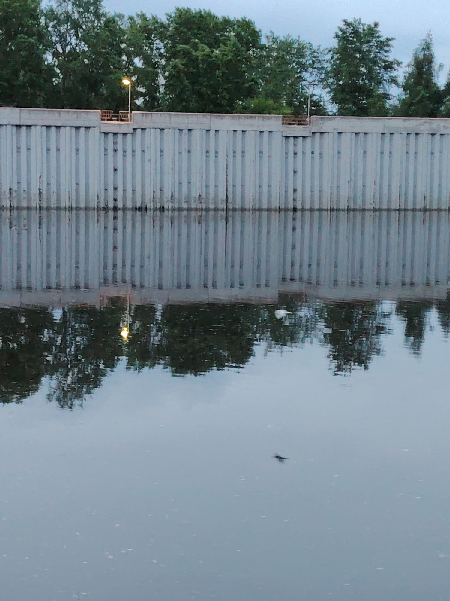 This image depicts a waterfront scene in Chaikovsky, Russia. A vertical concrete wall with repeating vertical indentations lines the water's edge. Behind the wall is a line of green trees. A single lamppost is visible. The water reflects the wall, trees, and lamppost. A small, dark object, possibly a bird or insect, is visible on the water's surface.