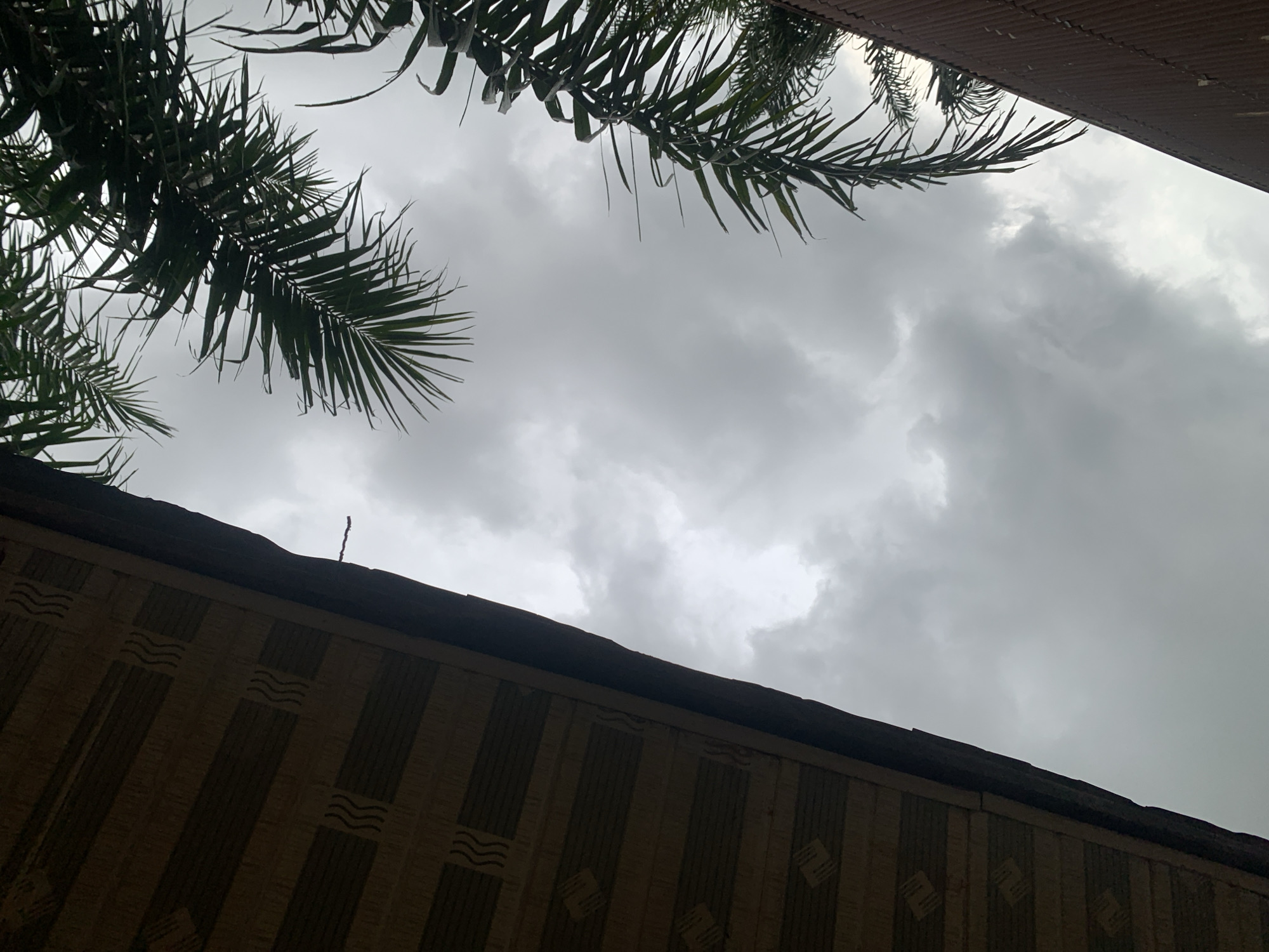 The image shows a low-angle shot of a cloudy sky with palm fronds and the underside of a roof in the foreground. The roof appears to be made of wood or bamboo with a patterned surface. The sky is overcast with diffused light, suggesting a cloudy day. Two distinct sections of roof are visible, one on the left and a smaller one on the bottom right. Palm fronds are visible in the upper and right portions of the image, obscuring parts of the sky. The scene is likely outdoors in a tropical or subtropical environment, possibly in the city of Sabon Tasha, Nigeria, given the context provided. There are no people or animals visible in the image.