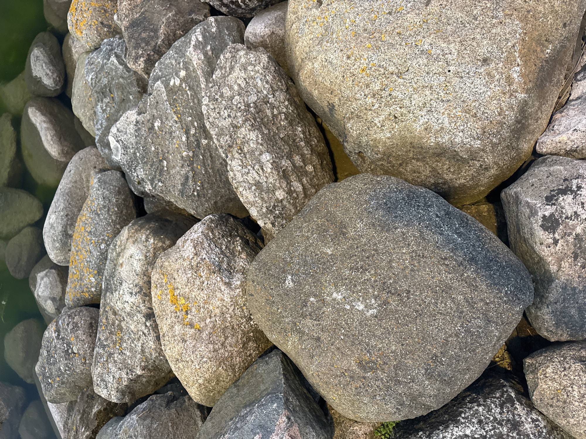 A pile of various sized grey and beige rocks are clustered together, with some partially submerged in dark green water, suggesting a coastal or harbor setting. Some of the rocks are covered in patches of yellow lichen. The rocks are irregularly shaped and appear to be natural, unhewn stones. The image is taken from a high angle, looking down onto the rocks. There are no people or animals visible in the image. The lighting suggests it is daytime, with the sun casting shadows on some of the rocks. This scene is consistent with the rocky shores or harbors found in Tallinn, Estonia, such as those along the Baltic Sea coast or within the city's port areas.