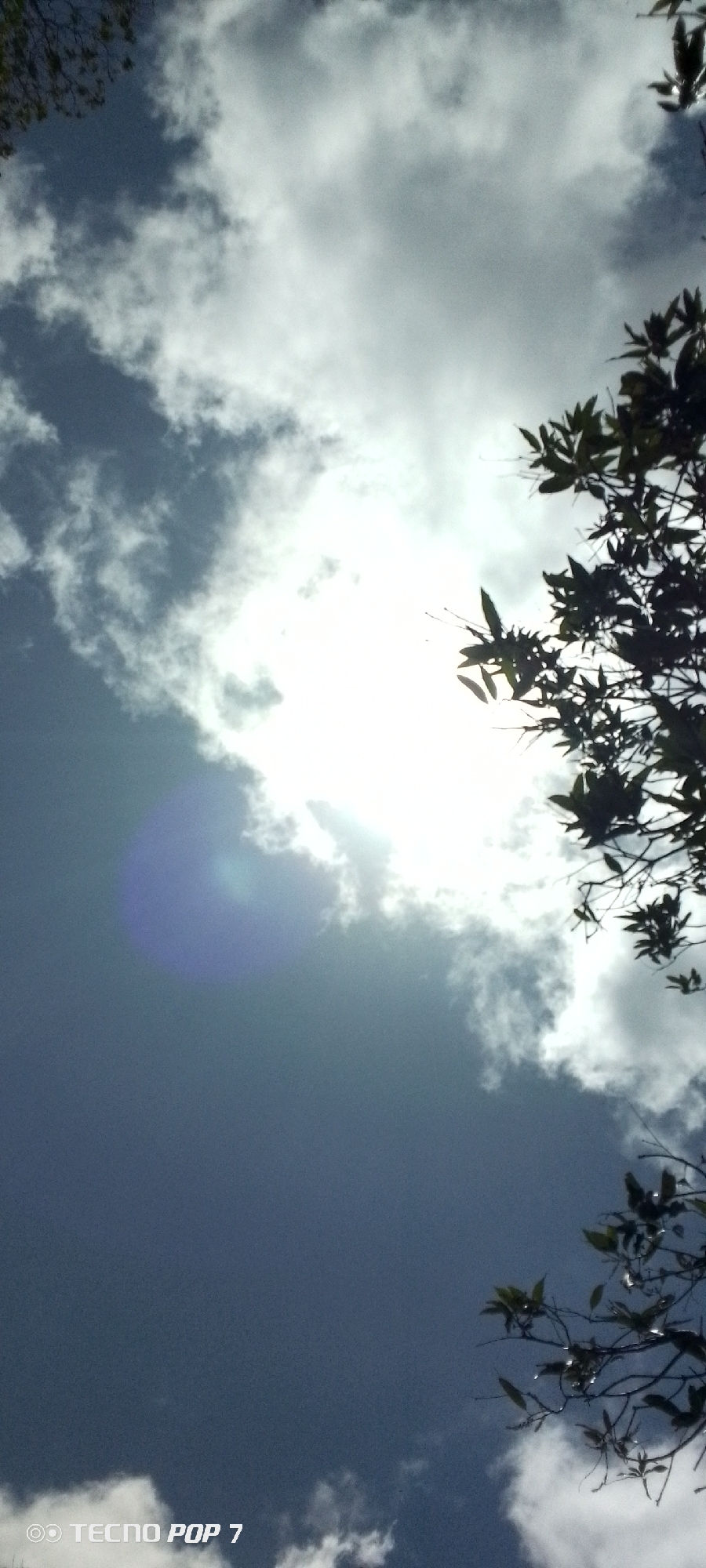 The image shows a view looking up at a partly cloudy sky with tree branches visible in the upper right and upper left corners. The sun is shining through a break in the clouds. A blue lens flare is present in the lower left portion of the sky. The camera used was a Tecno Pop 7. There is no evidence to confirm that this photo was taken in Altagracia, Venezuela. There are no people visible in this image.