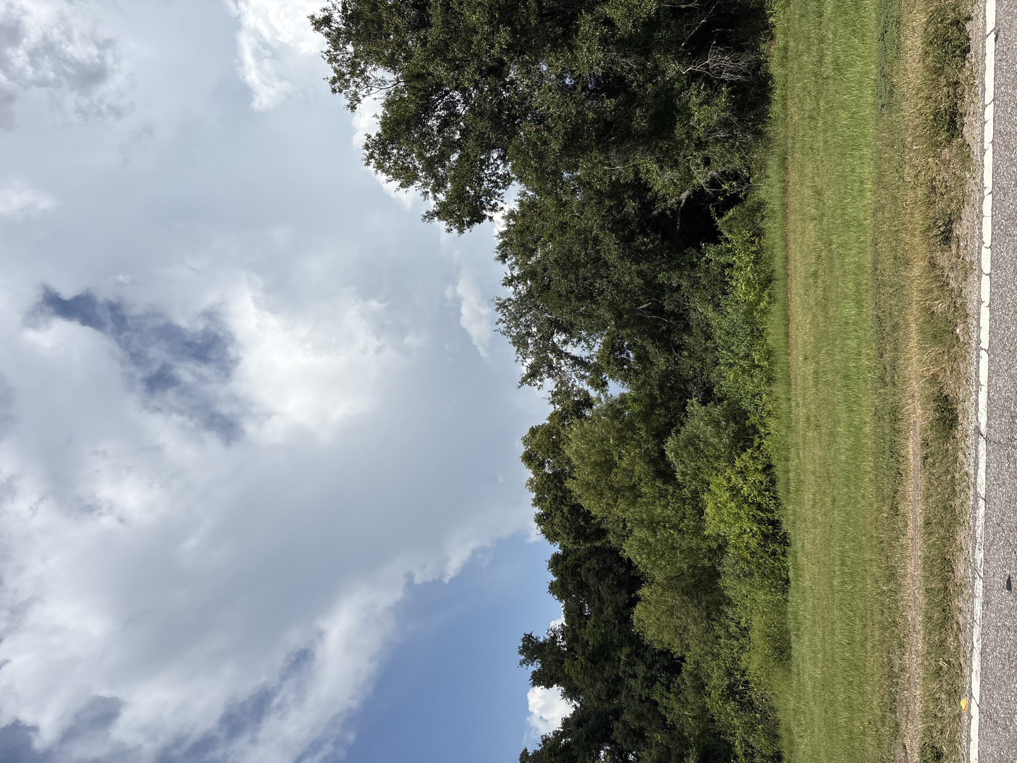 This image depicts a roadside scene in Parrish, Florida, United States. The foreground features an asphalt road with a white painted line along its edge, bordered by a strip of dry grass and then a lush green grassy field. Beyond the field, a dense line of trees forms the mid-ground, with varying shades of green foliage. The background is dominated by a dynamic sky filled with large, fluffy white clouds interspersed with patches of blue sky, suggesting fair weather with potential for rain. No people or specific structures are visible.