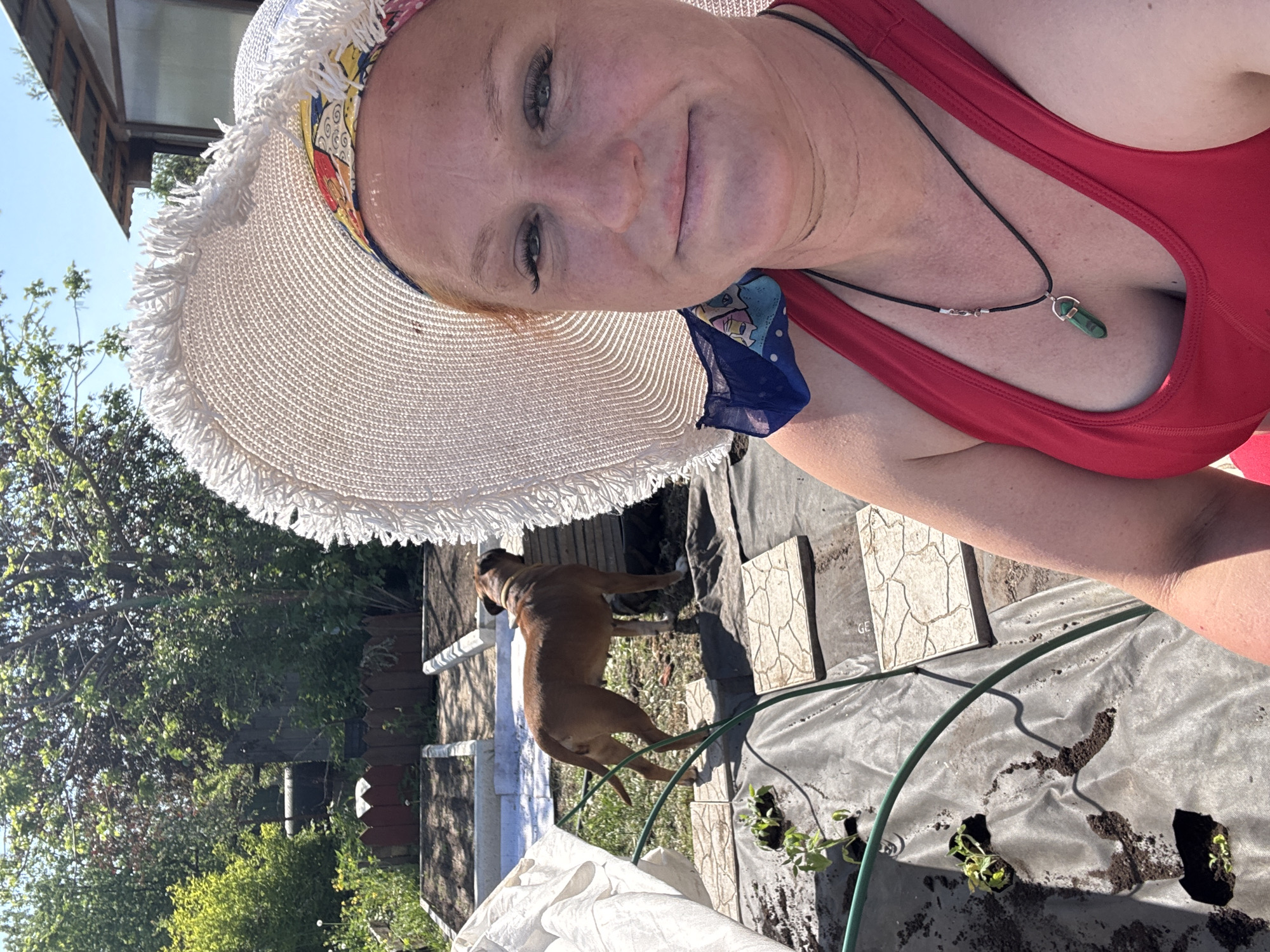 A woman with fair skin and red hair, wearing a red tank top, a wide-brimmed straw hat with a patterned band and a blue scarf tied around the hat, is taking a selfie. She is also wearing a necklace with a green pendant. In the background, there is a brown dog standing on a tarp-covered area. The tarp has holes cut into it, and small green plants are visible in the holes. Several square tiles are placed on the tarp. A green garden hose is on the tarp. The background includes trees, a greenhouse, and a white structure. The location is likely a garden, possibly in Chaikovsky, Russia.