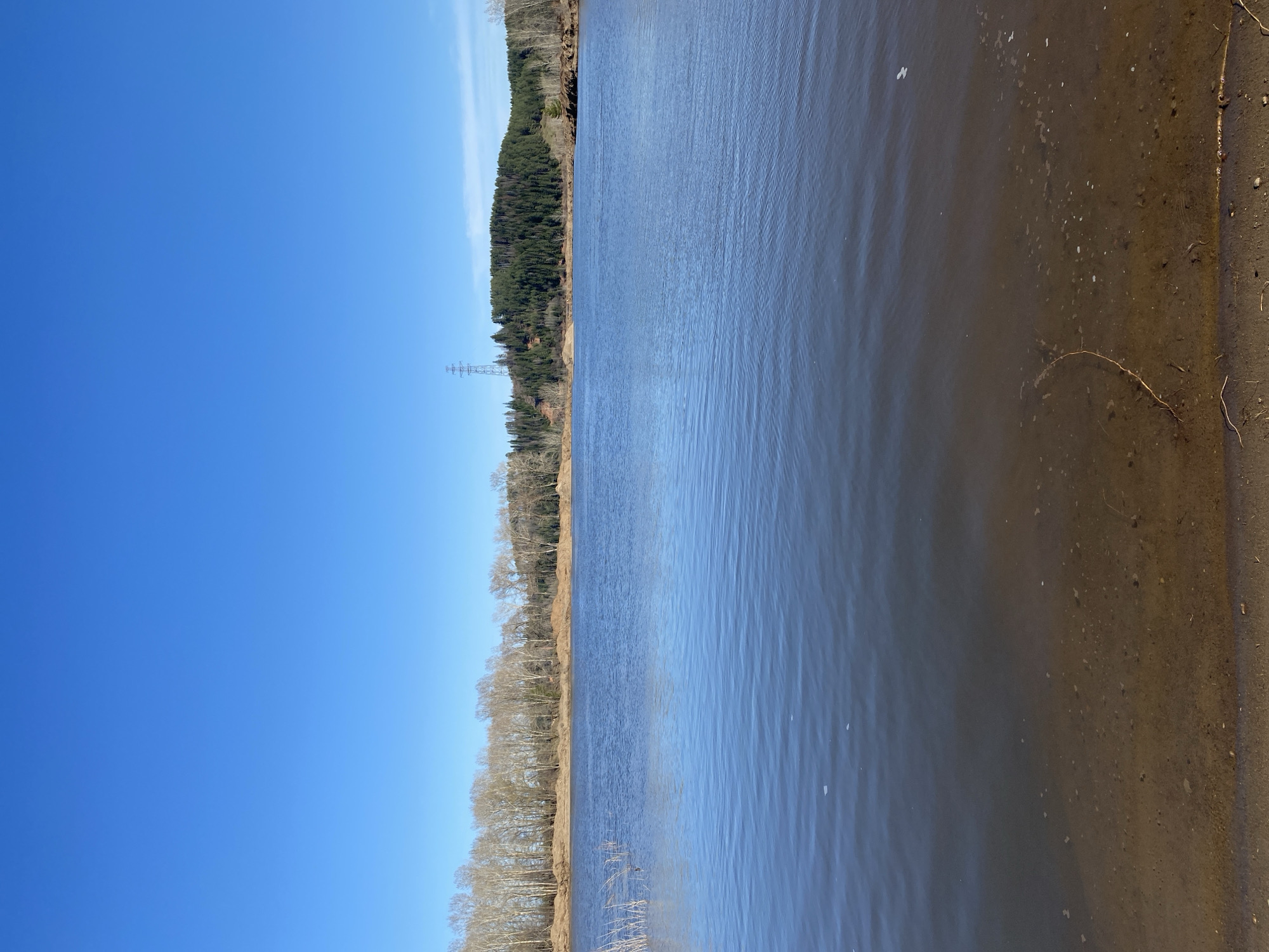 The image shows a landscape with a clear blue sky covering the left portion and a body of water taking up the right. A line of trees runs between the sky and the water, transitioning from bare trees near the sky to denser, evergreen forest further along. An electrical transmission tower is visible among the trees. The water appears calm with some ripples and a muddy shoreline. I'm unable to determine the location in Noviy, Russia, as the scene lacks specific identifiers such as landmarks or buildings.
