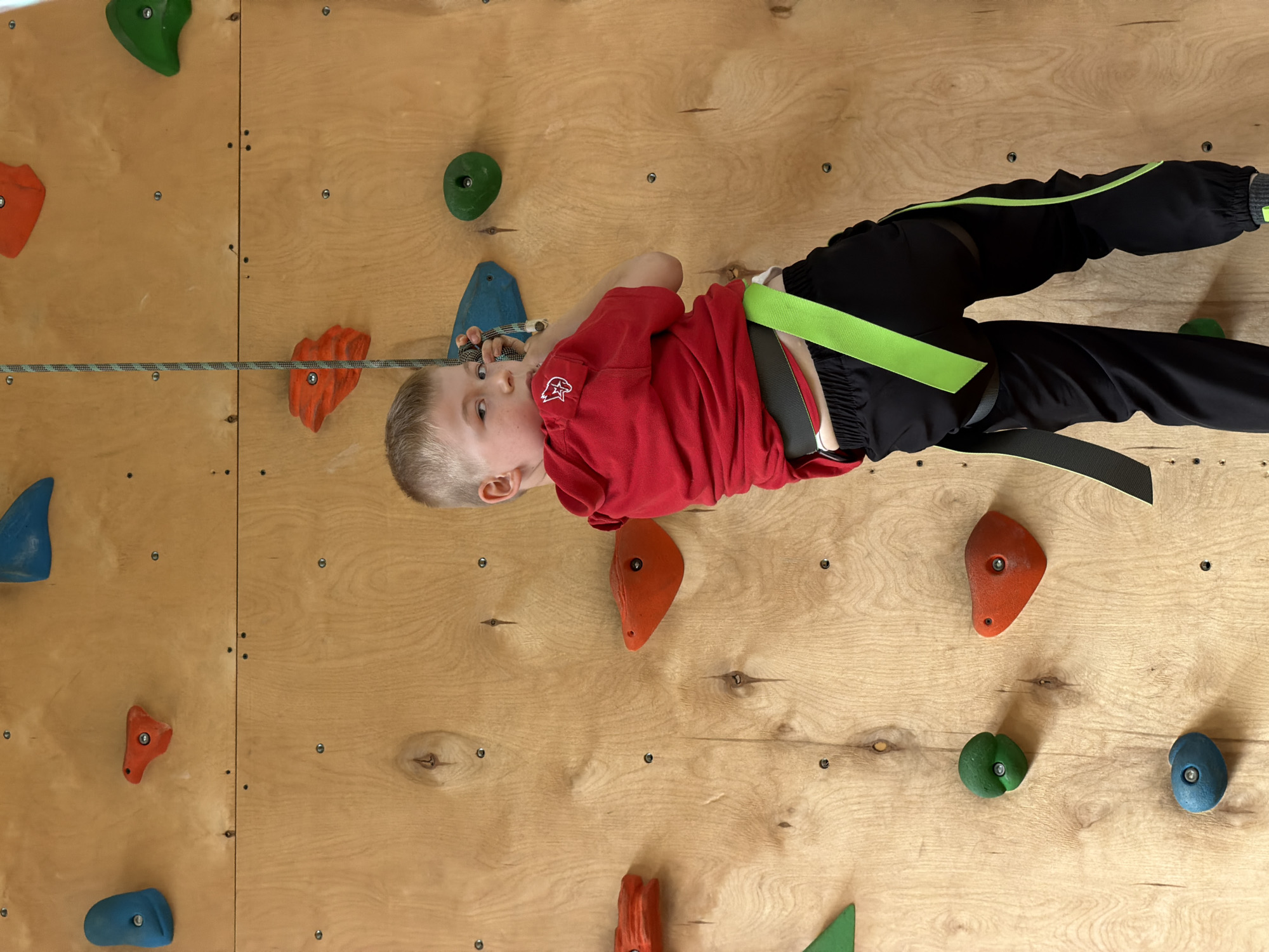 A young boy is suspended on a climbing wall with various colored grips attached to the wood surface. He is wearing a red shirt, black pants with a lime green stripe, and a harness with a lime green strap around his waist. A climbing rope is attached to the harness and runs along the wall. The climbing wall has various grips in colors such as orange, green, and blue, attached to the wood with bolts. The background is a plain, light-colored wooden wall. The setting is not explicitly identifiable as Izhevsk, Russia, based on the provided image.