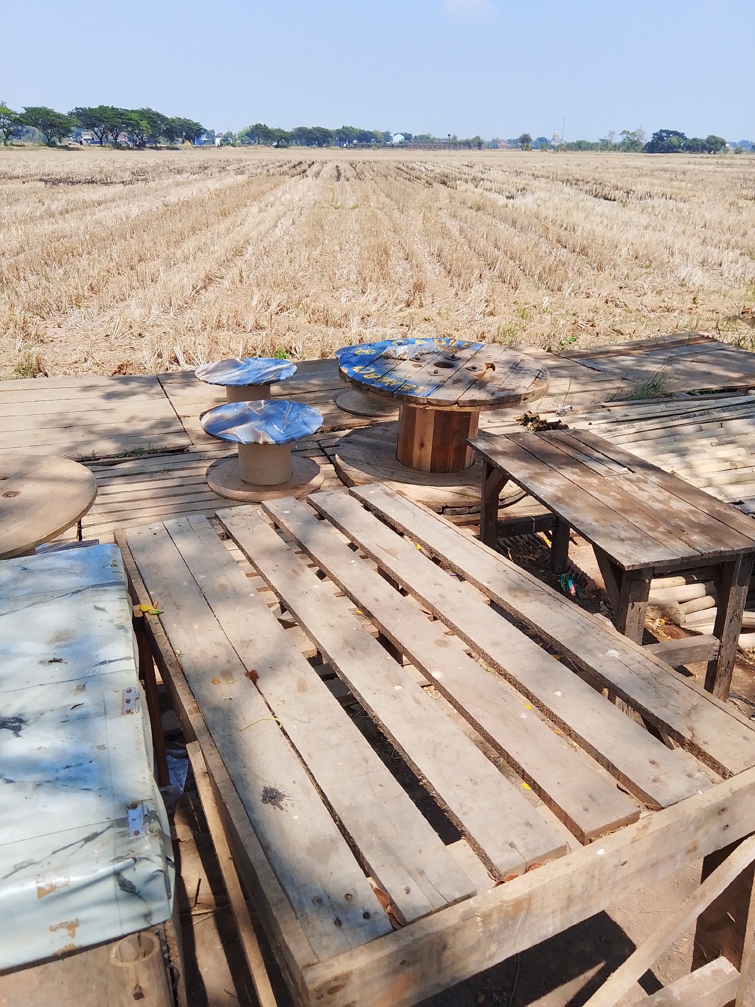 A rural scene in Kuanyar, Indonesia, shows an outdoor seating area constructed from wooden pallets and spools. The area overlooks a dry, harvested field with rows of stubble stretching to the horizon. A few trees line the distant treeline, with a clear, bright blue sky above. The seating area consists of several wooden tables and what appear to be chairs or benches, all fashioned from repurposed materials. Two spools, one with a blue and yellow patterned top, are used as tables, with other spools serving as bases for smaller tabletops. A light blue, marble-patterned surface is visible on the left side of the frame, possibly another table. The ground is dirt and dry leaves, with shadows indicating a sunny day. No people are visible in the image.