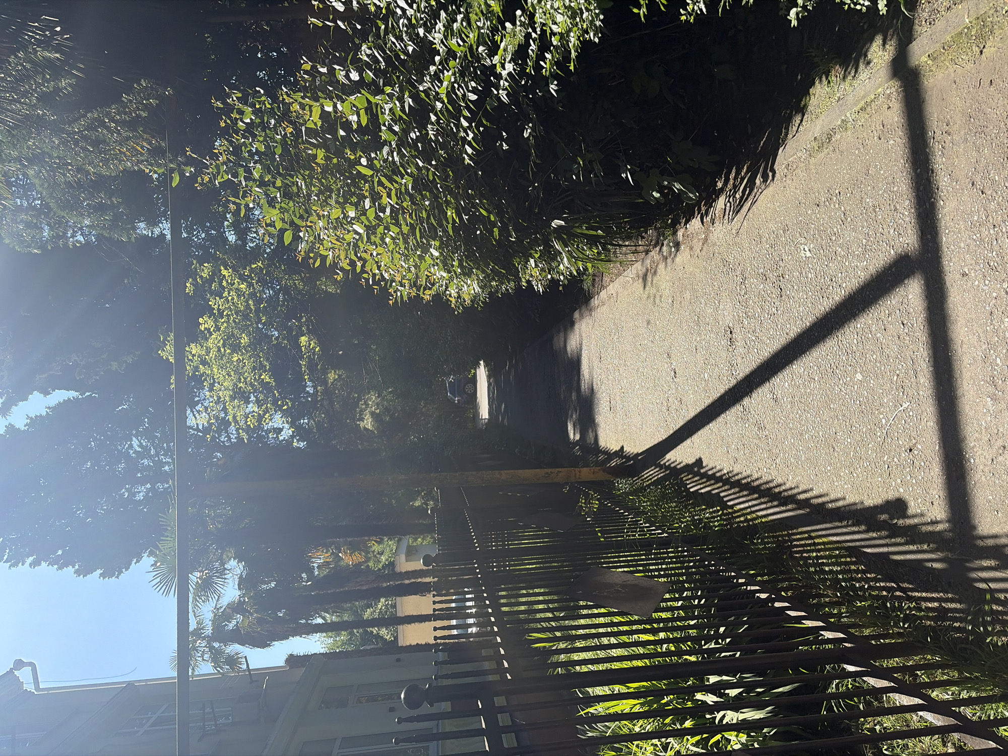 The image displays a sunlit, narrow path, likely unpaved or gravel, winding gently through a lush, green environment. Dense subtropical vegetation, including various trees and bushes with vibrant green leaves, lines both sides of the path, characteristic of Sochi, Russia. Sunlight filters through the canopy, creating bright highlights on the leaves and casting strong, distinct shadows on the ground, indicating a clear morning or late afternoon.
On the right side of the path, a dark metal fence, possibly wrought iron, casts long, striped shadows across the gravel surface. A tall, thin pole also casts a prominent shadow. Through the fence on the left, a light-colored building with visible windows can be partially seen. Further down the path, a dark-colored car is faintly discernible in the distance. The vegetation includes tall conifer-like trees and several palm trees, reinforcing the subtropical setting. There is no visible activity or text, and the scene evokes a sense of peaceful, quiet outdoor beauty.