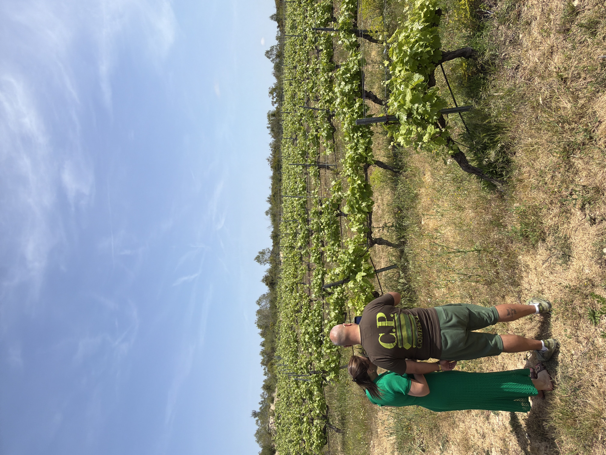 The image shows a couple standing in a vineyard near Bonastre, Spain. The man is wearing a brown t-shirt, green shorts, and sneakers. The woman is wearing a long green dress. They are standing next to a row of grape vines. The background shows rows of vines, dry grass, and a blue sky with wispy clouds.