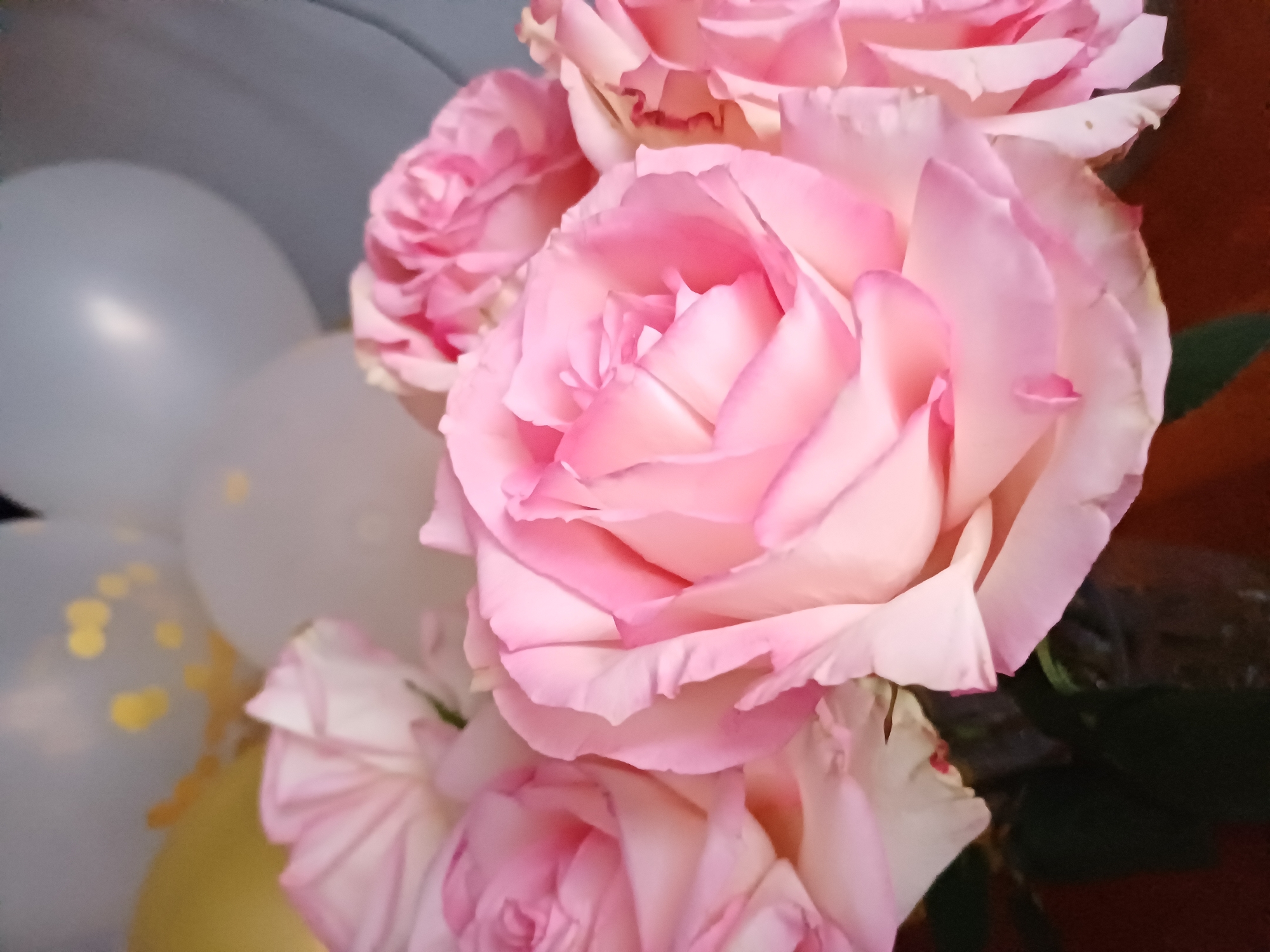 A close-up shot shows a bouquet of pink roses with a blurred background of balloons. The roses, in various shades of pink and white, are the prominent subject. Their delicate petals are layered and softly curved, with some petals showing slight wilting. The central rose is the largest and most in focus, showcasing intricate detail. The balloons in the background are out of focus and appear to be white with scattered gold confetti. One balloon in particular has a yellow hue, suggesting it might be a different color or reflecting light. The lighting is soft, creating a gentle glow on the flowers, and there are no visible shadows, indicating diffused lighting, possibly indoors. The overall mood is soft and celebratory, with the vibrant pink of the roses and the festive balloons suggesting an occasion like a birthday or anniversary. No text is visible in the image. The setting appears to be a domestic or event space, given the presence of both flowers and balloons.