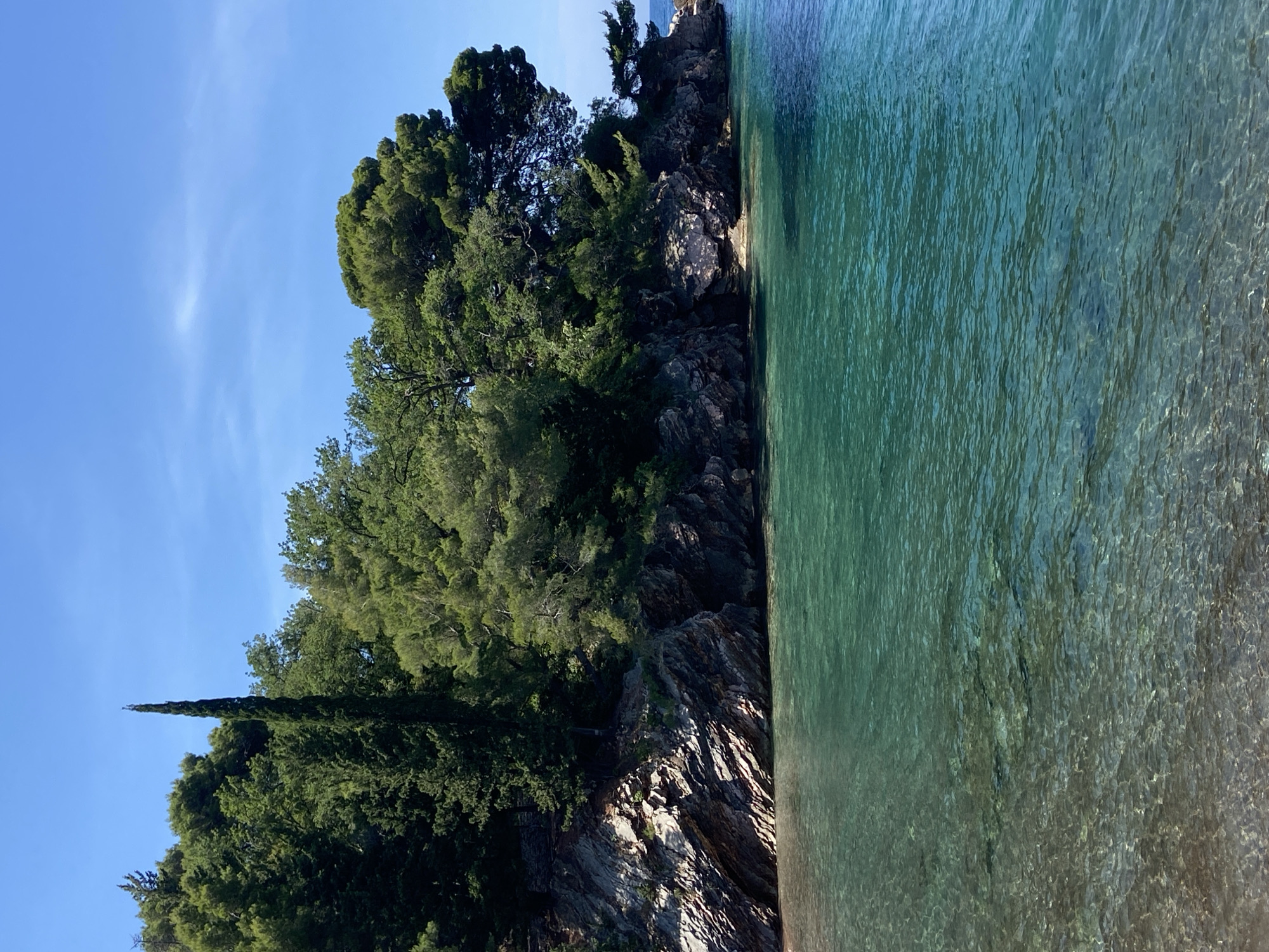 This is a vertical, eye-level shot of a rocky coastline with clear turquoise water. The foreground shows the shallow, clear water with pebbles visible on the bottom. The middle ground features a rugged, rocky cliff face covered in dense green foliage and trees, including a tall, slender cypress tree dominating the left side. The water laps against the base of the cliffs. The background is a clear, bright blue sky with a few wispy white clouds. The scene depicts a secluded, natural cove, likely in or near Sveti Stefan, Montenegro, given the characteristic Mediterranean vegetation and rocky shore. There are no people or visible man-made structures in the image.