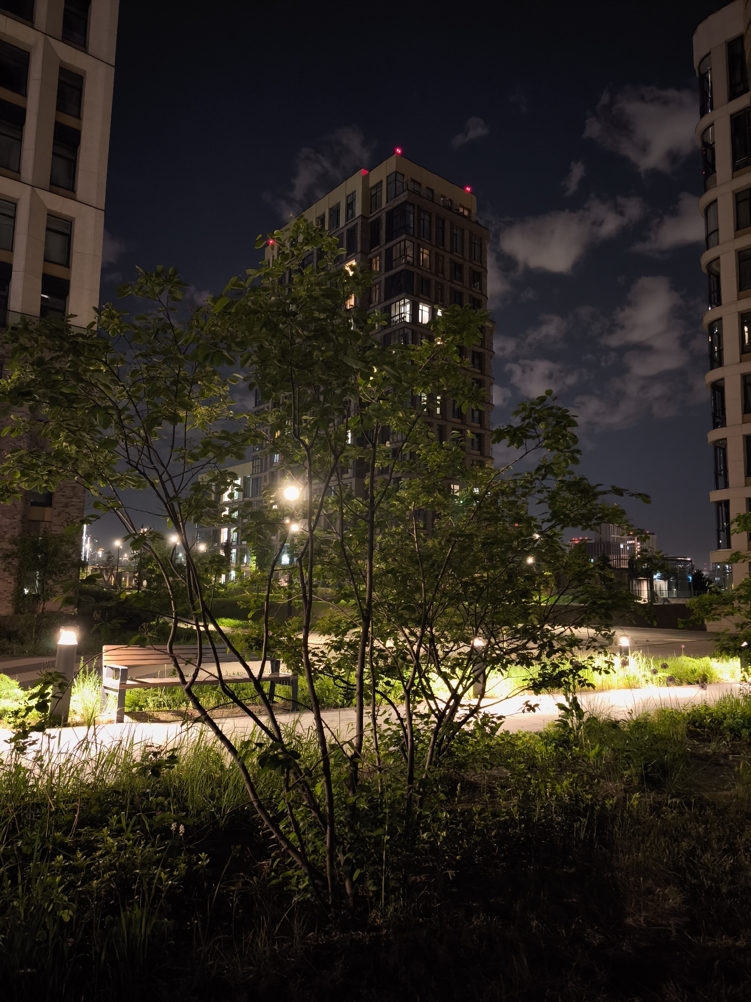 Here is a description of the image:
The photograph depicts a nighttime urban scene, likely within the city of Moscow, Russia. A central building towers in the middle, its illuminated windows and red rooftop beacons stand out against the night sky, which is mottled with clouds. Flanking this central building are sections of other modern high-rise buildings with visible interior lights.
In the foreground, foliage and a young tree are prominent, partially obscuring a park bench. Small, ground-level lights illuminate the pathway and surrounding greenery, casting a soft glow on the vegetation and highlighting the manicured landscape. The lower portion of the image is dominated by dark shadows, contrasting with the illuminated areas.
The scene suggests a well-maintained urban park area nestled amidst modern architecture, indicative of a contemporary urban landscape. The lack of discernible human presence creates a sense of tranquility in the middle of a major city.