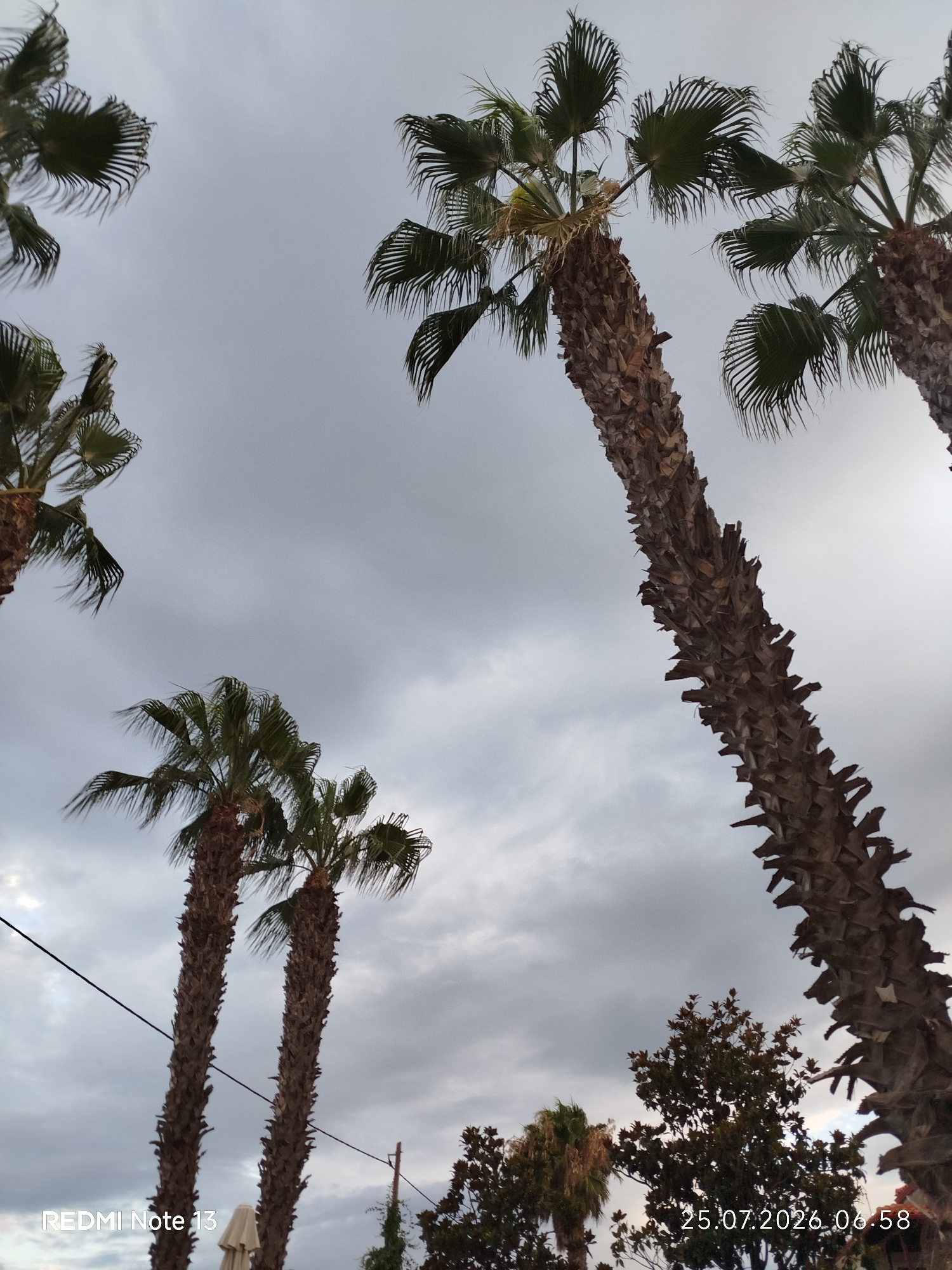 This is a low-angle, outdoor, full shot photograph of several palm trees against a cloudy sky. The fronds of the palm trees are green and feathery, and the trunks are rough and brown. There are some power lines visible in the background. The text "REDMI Note 13" and "25.07.2026 06:58" are watermarked on the bottom left and bottom right corners of the image respectively. The scene is likely in Sithonia Municipal Unit, Greece, given the presence of palm trees and the date format.