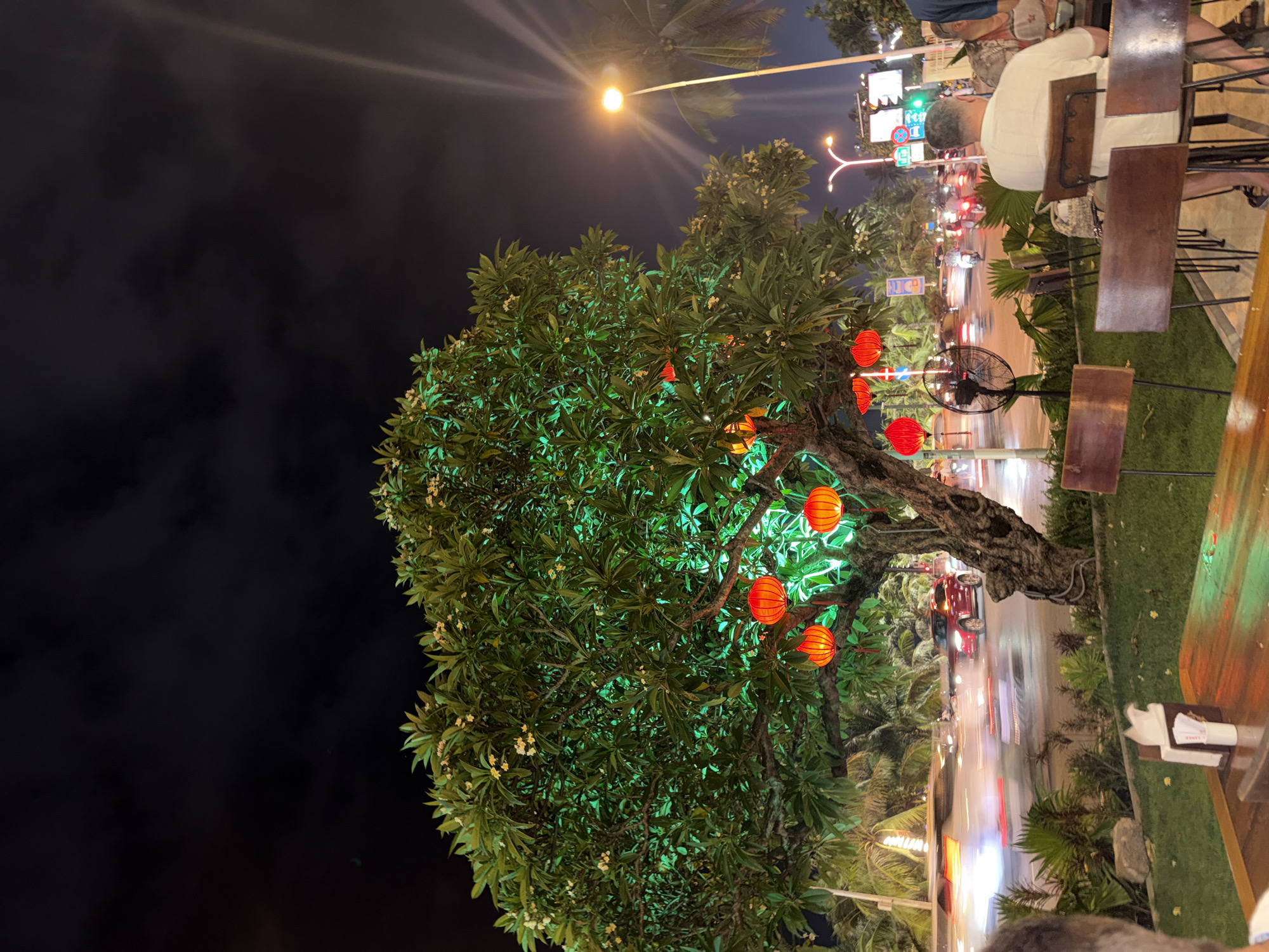 This nighttime image depicts an outdoor urban scene in Nha Trang Ward, Vietnam. A large, mature tree, prominently positioned slightly left of center, dominates the midground. Its dense green foliage is illuminated by integrated green lights, and multiple spherical red lanterns with tassels hang from its branches. Small, light-colored flowers are scattered among the leaves.
Behind the tree, a multi-lane road is visible, characterized by active vehicle traffic. Several vehicles, including cars and motorcycles, are captured with motion blur, creating streaks of white and red light indicating their movement. A red SUV is discernible with less blur. Various streetlights and traffic signals, including a green light, illuminate the road and surroundings. Palm trees and other tropical foliage line the roadside.
In the foreground, an outdoor seating area is present, featuring wooden tables and chairs with metal frames. On the left, a portion of a person's head and shoulder is visible in the extreme foreground, suggesting a first-person perspective from a seated position. On the right, a man wearing a white short-sleeved shirt is seated with his back to the camera, at one of the wooden tables. A white napkin dispenser and cutlery container rest on the table. A black standing fan is positioned on the grassy median, facing the seating area. The ground under the tables is covered with short green grass. The sky above is dark with visible cloud formations.